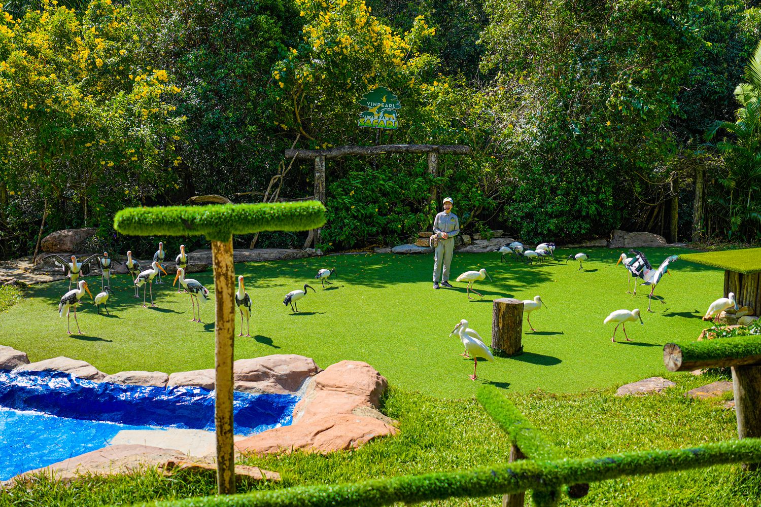 2025 富國島動物園 Vinpearl Safari Phú Quốc｜珍珠野生動物園遊玩攻略! @混血珊莎的奇幻旅程
