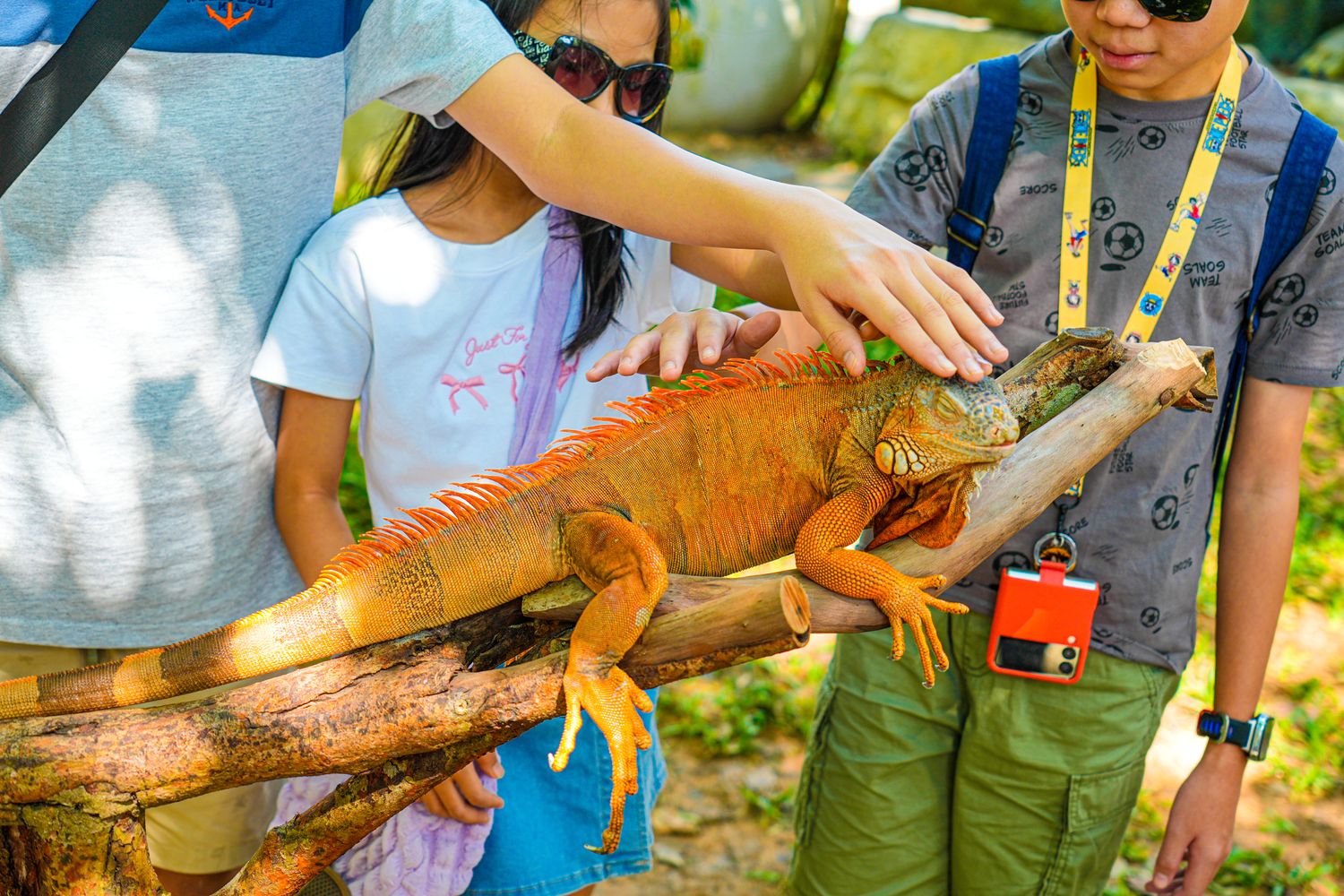 2025 富國島動物園 Vinpearl Safari Phú Quốc｜珍珠野生動物園遊玩攻略! @混血珊莎的奇幻旅程