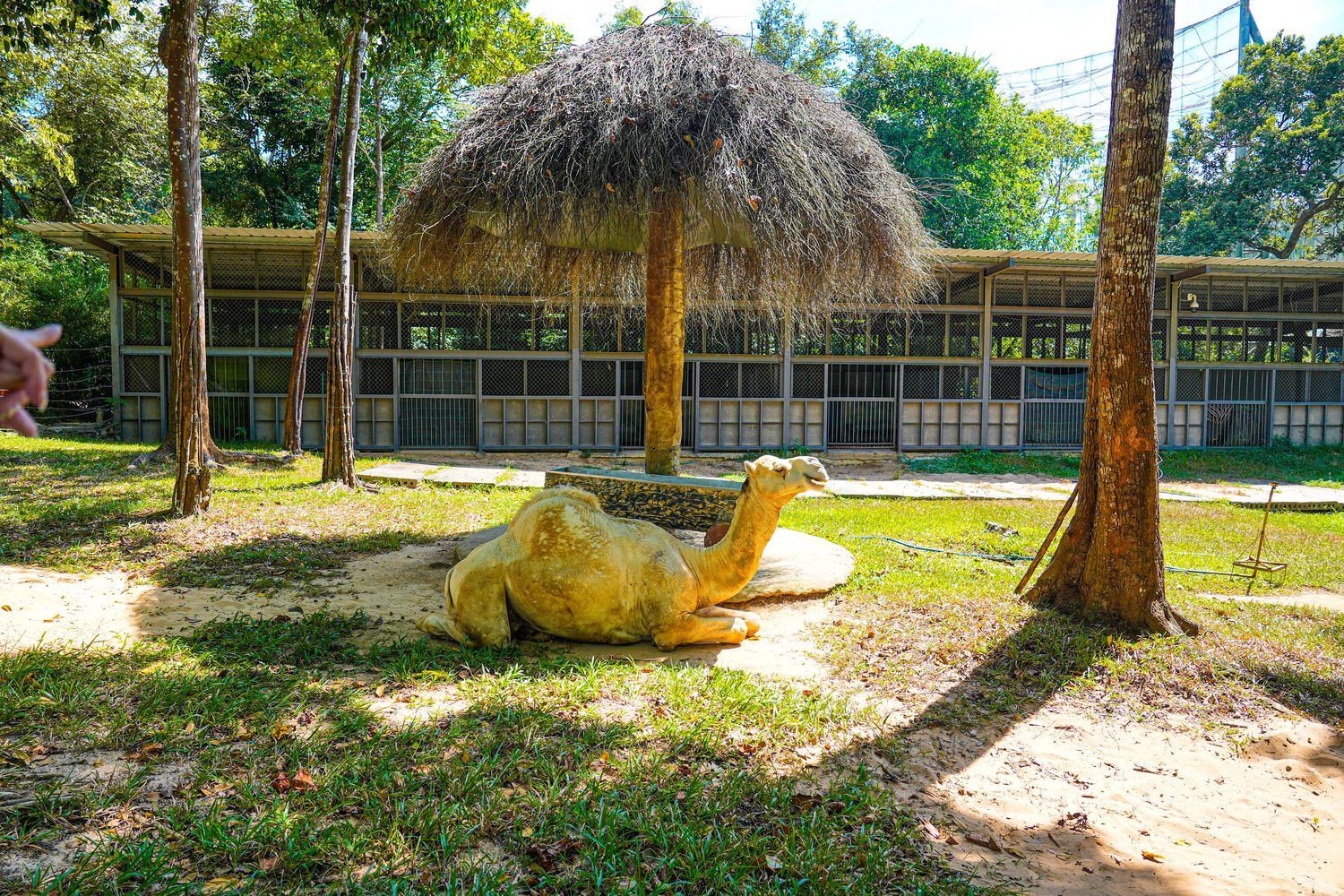 2025 富國島動物園 Vinpearl Safari Phú Quốc｜珍珠野生動物園遊玩攻略! @混血珊莎的奇幻旅程