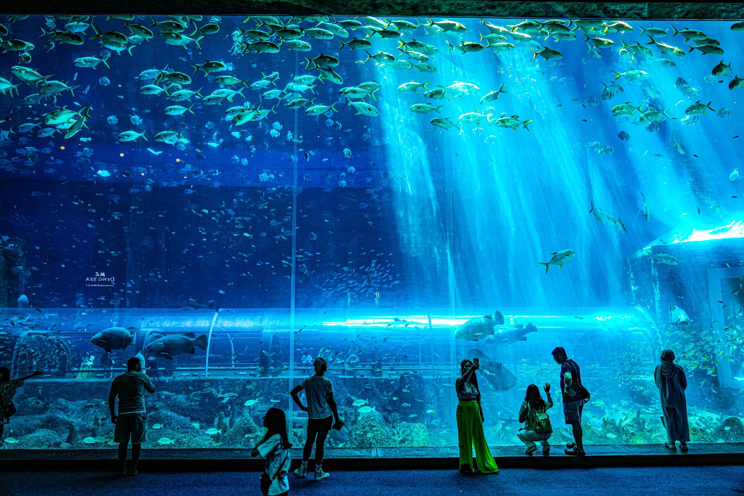 2025 富國島珍珠遊樂園 VinWonders Phu Quoc｜煙火、設施、表演遊玩攻略! @混血珊莎的奇幻旅程