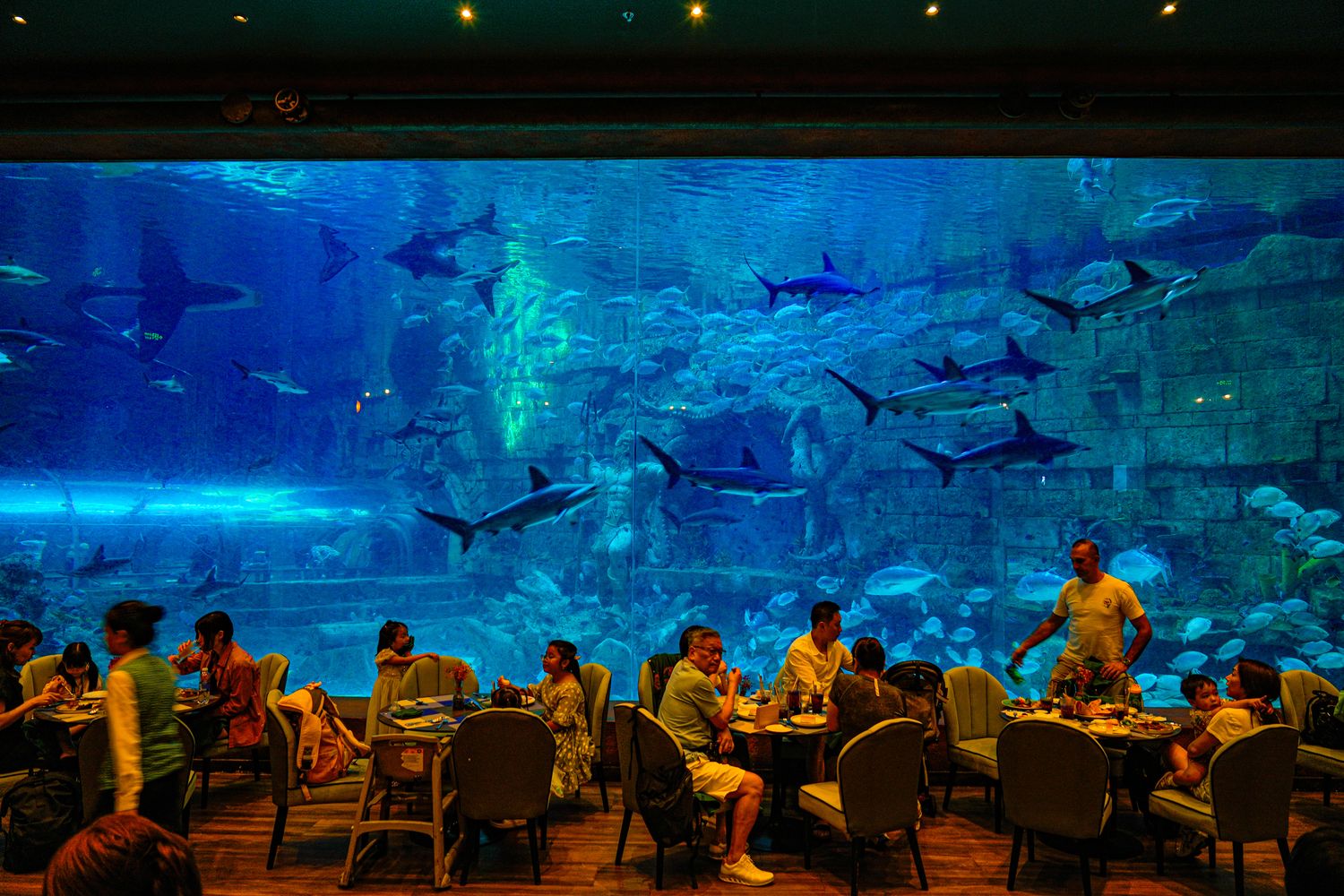 富國島珍珠遊樂園水族館餐廳｜Deep Sea Restaurant，菜單、預約、交通攻略! @混血珊莎的奇幻旅程