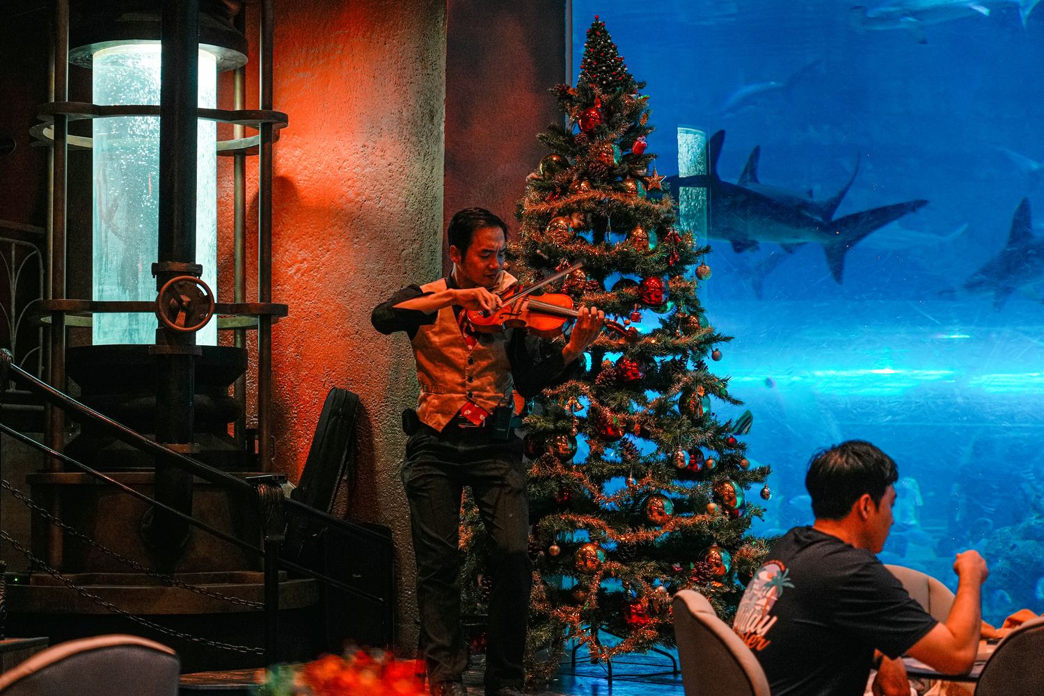 富國島珍珠遊樂園水族館餐廳｜Deep Sea Restaurant，菜單、預約、交通攻略! @混血珊莎的奇幻旅程