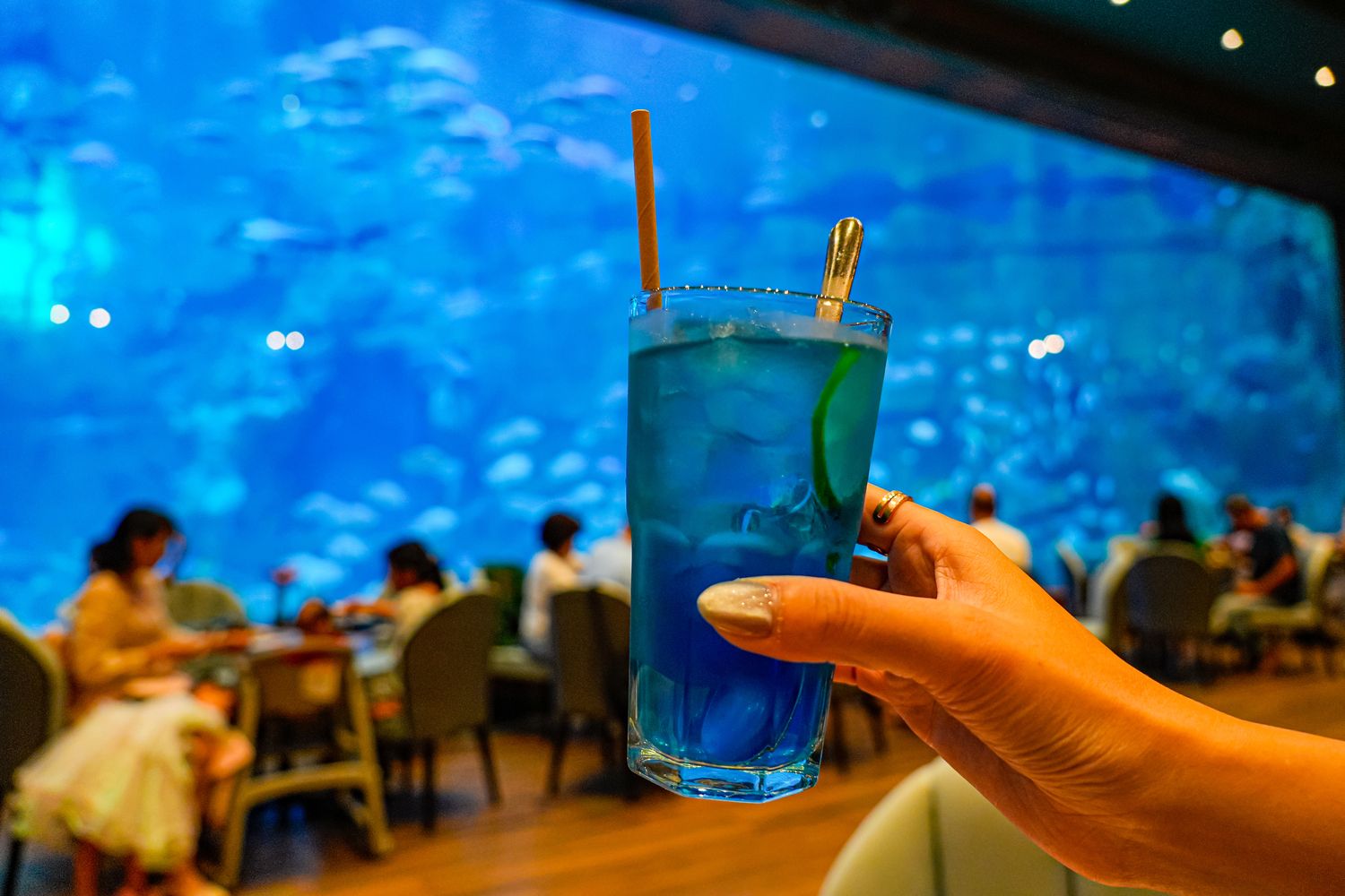 富國島珍珠遊樂園水族館餐廳｜Deep Sea Restaurant，菜單、預約、交通攻略! @混血珊莎的奇幻旅程