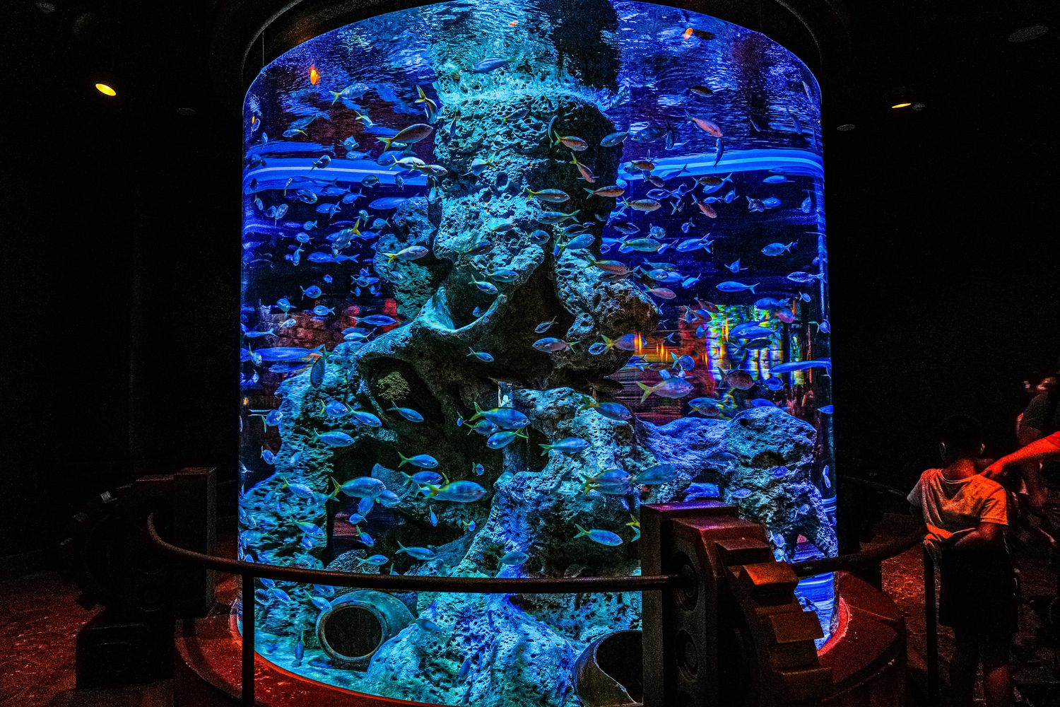 2025 富國島珍珠遊樂園 VinWonders Phu Quoc｜煙火、設施、表演遊玩攻略! @混血珊莎的奇幻旅程