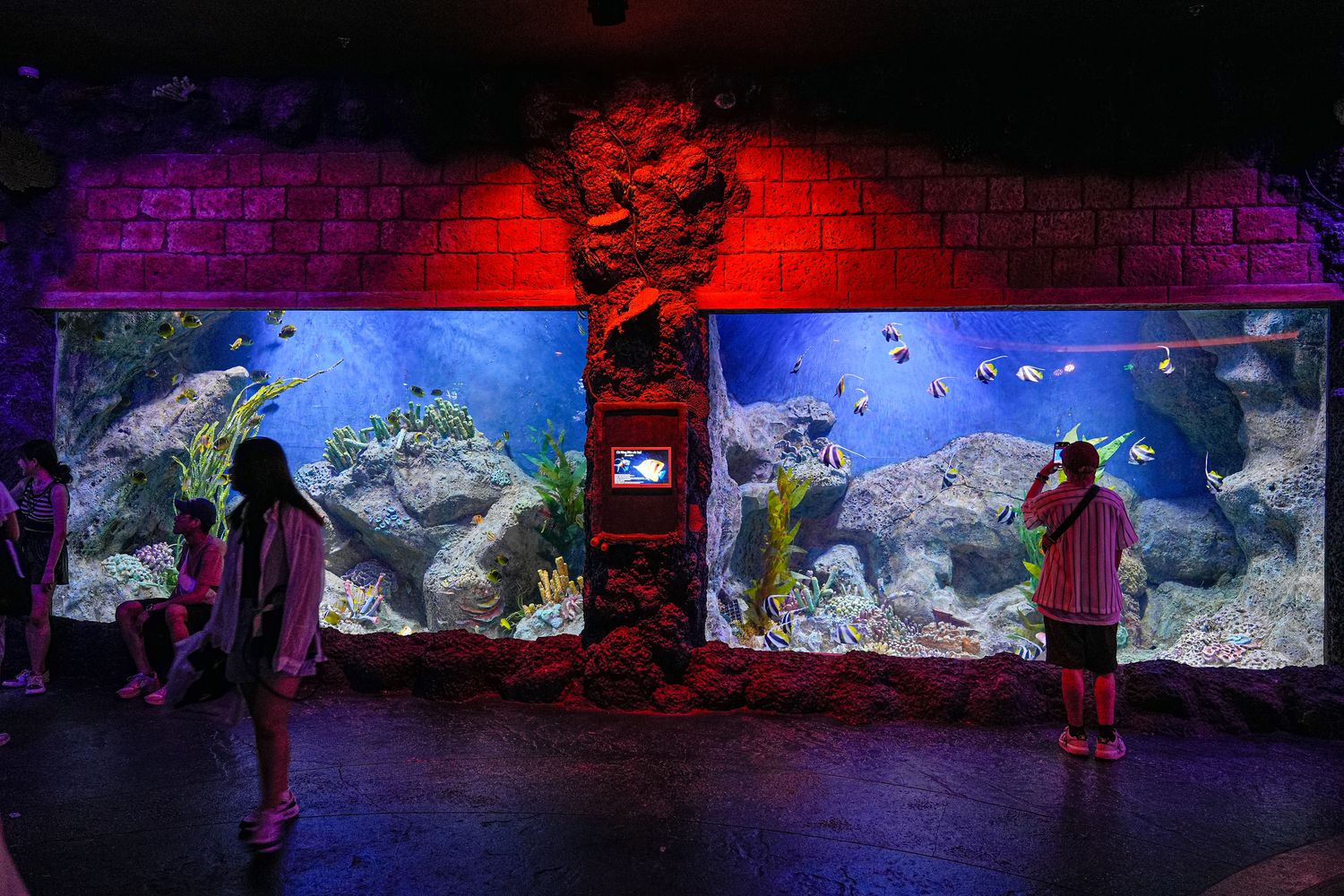 2025 富國島珍珠遊樂園 VinWonders Phu Quoc｜煙火、設施、表演遊玩攻略! @混血珊莎的奇幻旅程