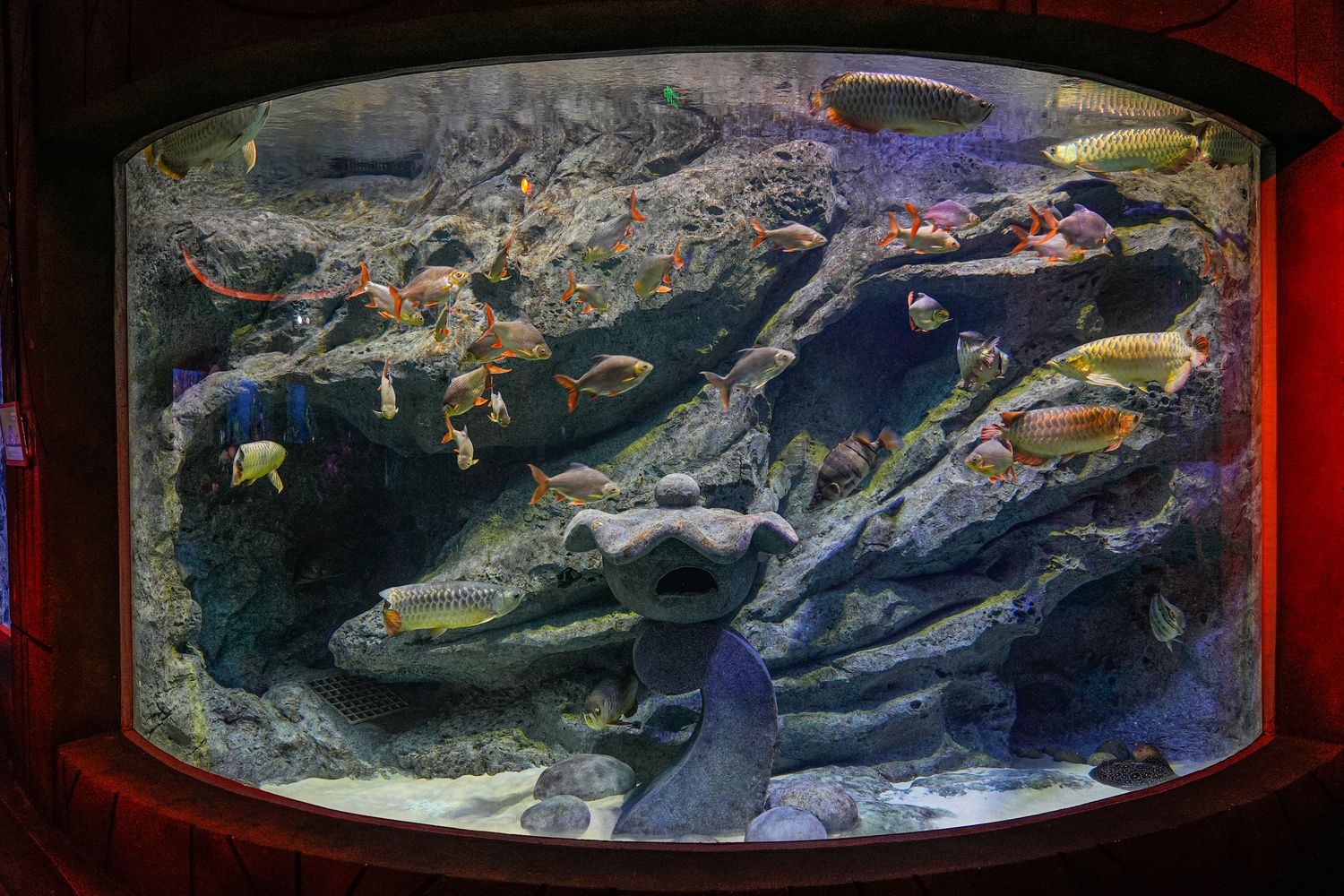 2025 富國島珍珠遊樂園 VinWonders Phu Quoc｜煙火、設施、表演遊玩攻略! @混血珊莎的奇幻旅程