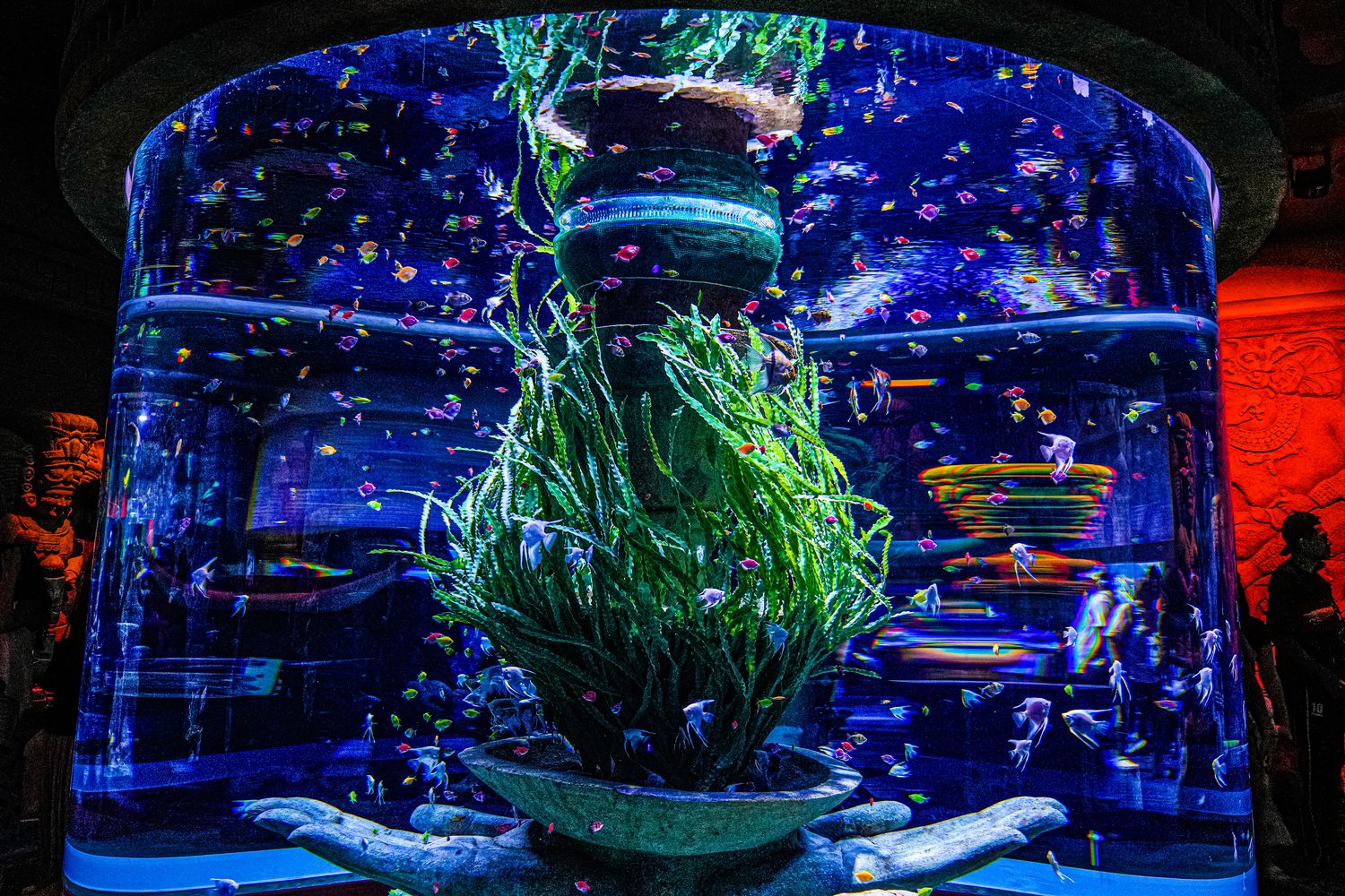 2025 富國島珍珠遊樂園 VinWonders Phu Quoc｜煙火、設施、表演遊玩攻略! @混血珊莎的奇幻旅程