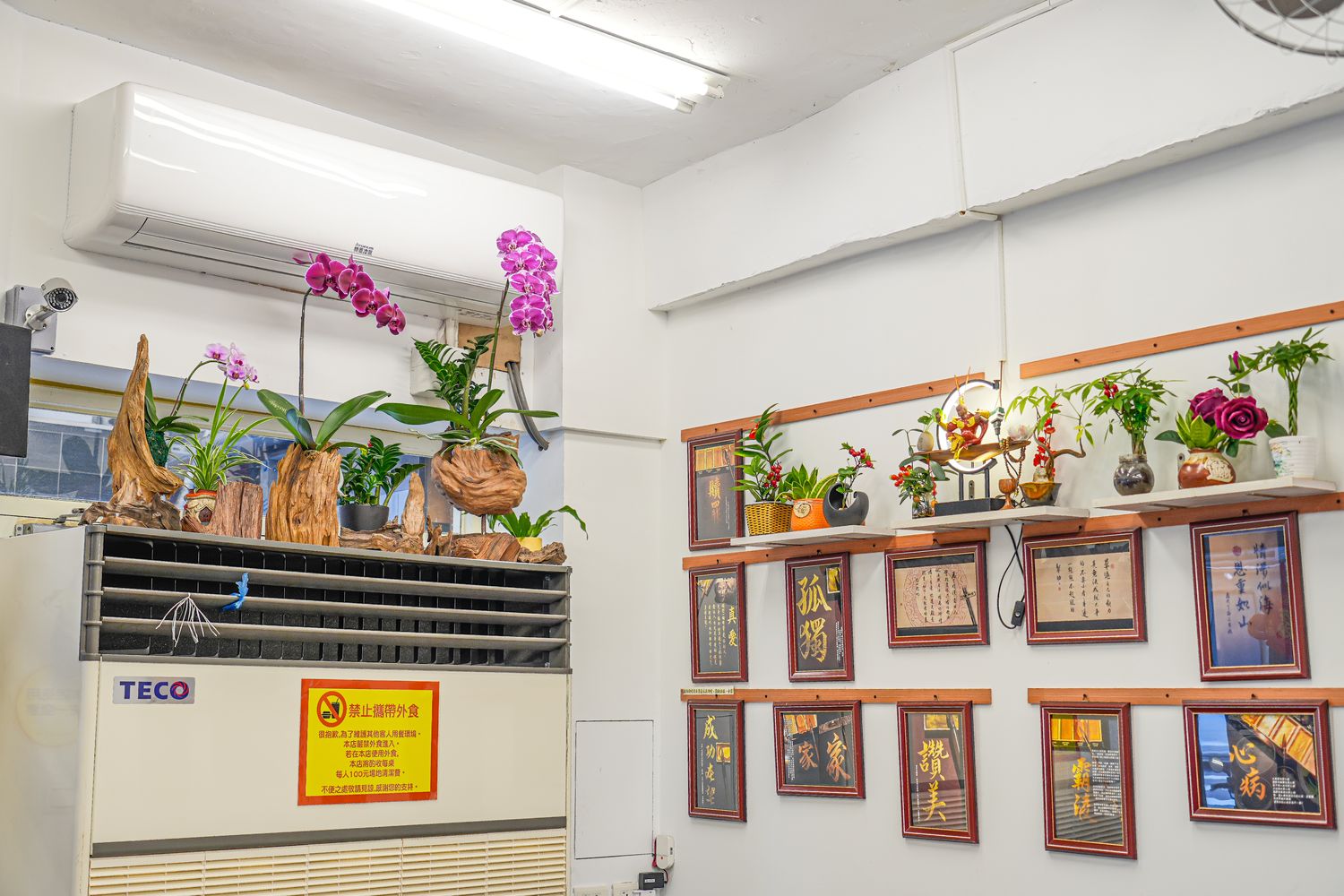 新竹城隍廟美食推薦│九添福牛肉麵，隱藏版米其林實力好店！超浮誇大份量牛肉麵，在地人也大推! @混血珊莎的奇幻旅程