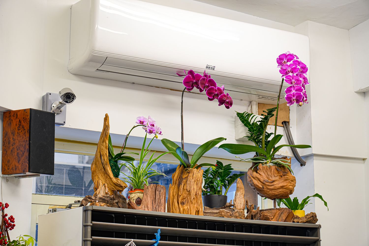 新竹城隍廟美食推薦│九添福牛肉麵，隱藏版米其林實力好店！超浮誇大份量牛肉麵，在地人也大推! @混血珊莎的奇幻旅程