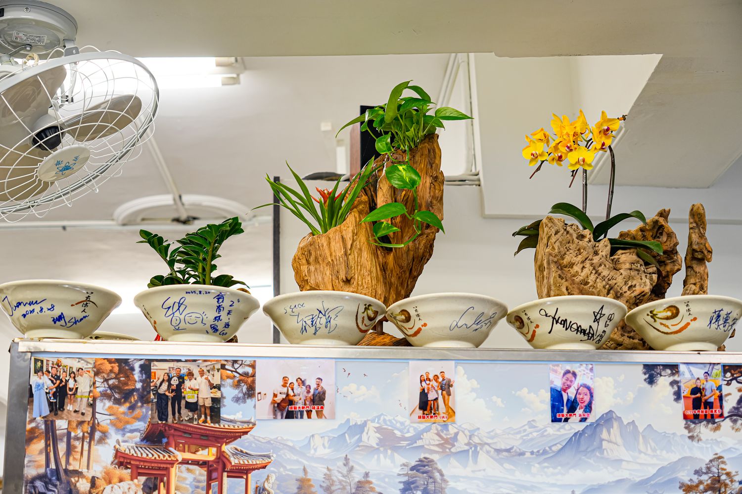 新竹城隍廟美食推薦│九添福牛肉麵，隱藏版米其林實力好店！超浮誇大份量牛肉麵，在地人也大推! @混血珊莎的奇幻旅程