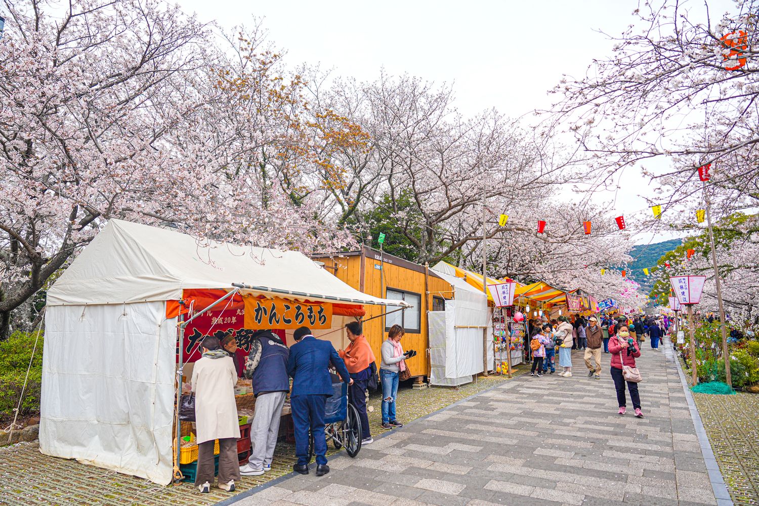 【2025長崎景點】最新長崎一日遊行程＋在地必吃美食全攻略! @混血珊莎的奇幻旅程