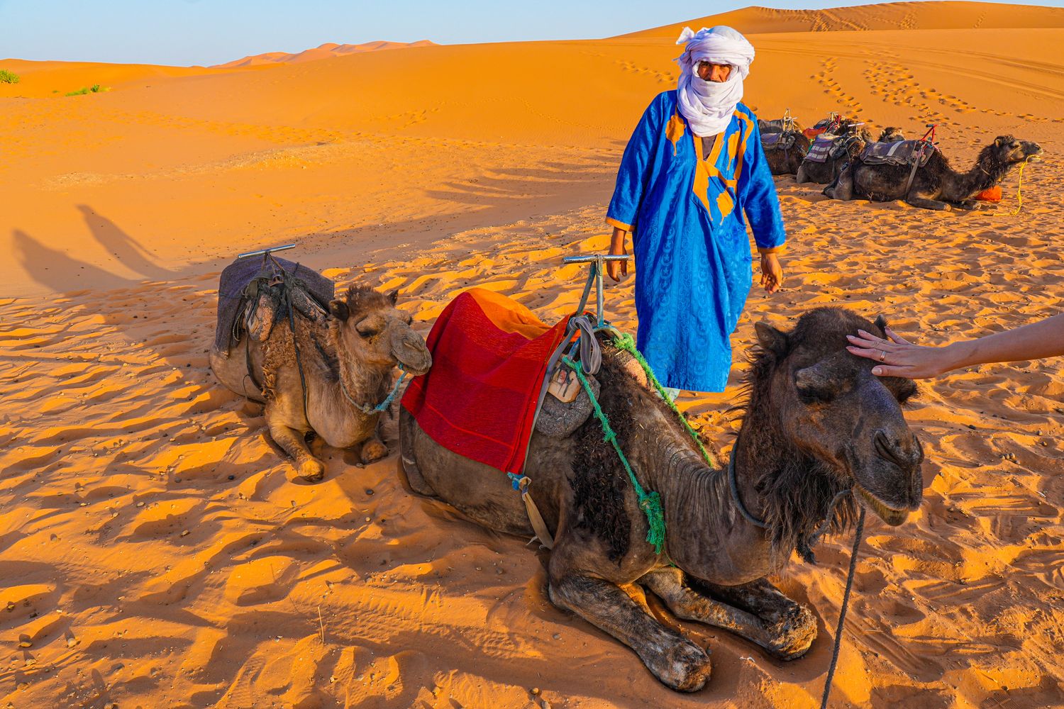 Merzouga Glamping｜摩洛哥沙漠帳篷推薦：走進撒哈拉星空下的夢境! @混血珊莎的奇幻旅程