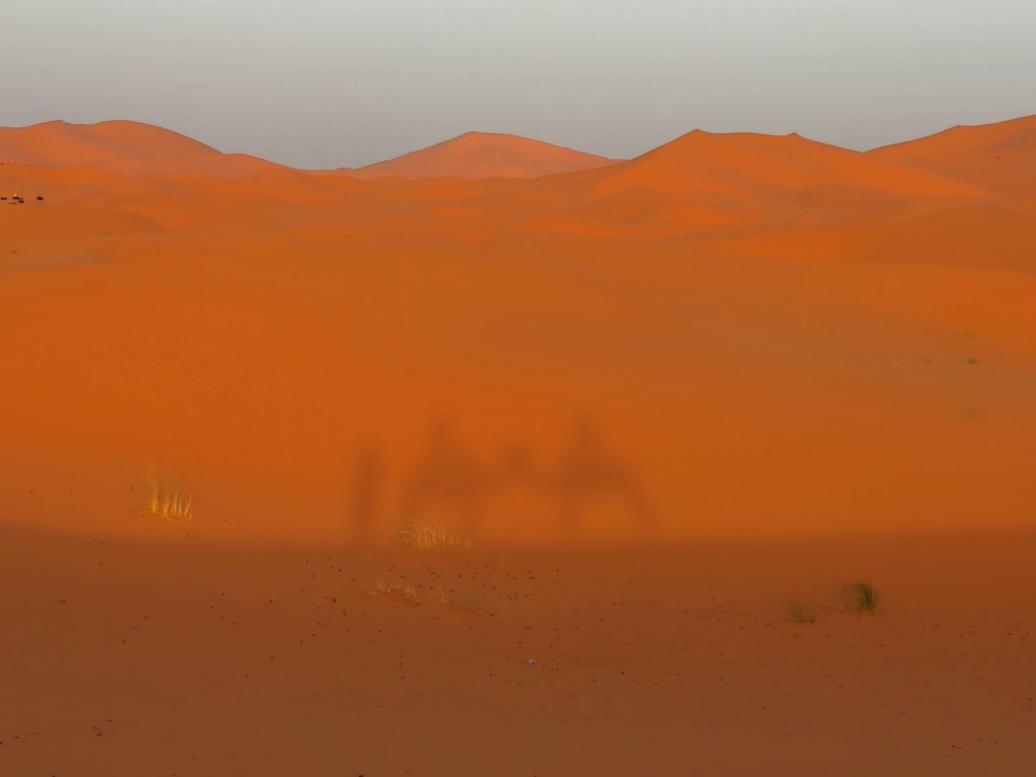 Merzouga Glamping｜摩洛哥沙漠帳篷推薦：走進撒哈拉星空下的夢境! @混血珊莎的奇幻旅程