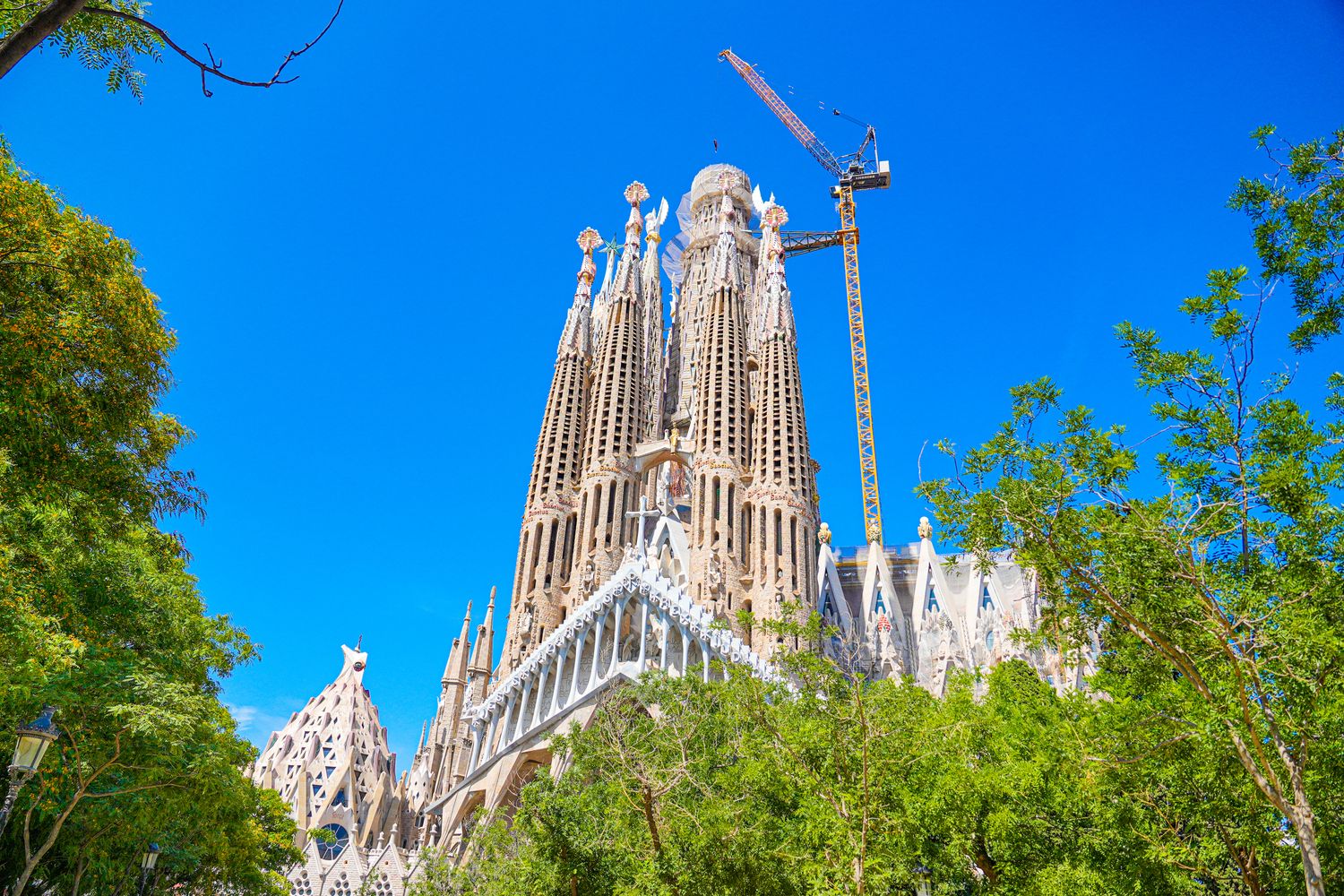 巴塞隆納｜聖家堂 Sagrada Família 參觀全攻略：門票、登塔、交通、穿著一次看! @混血珊莎的奇幻旅程