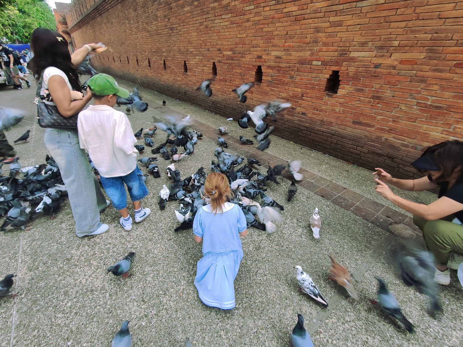 【清邁自由行攻略】行前規劃、交通、機票、景點、簽證、行程費用一次看懂！ @混血珊莎的奇幻旅程