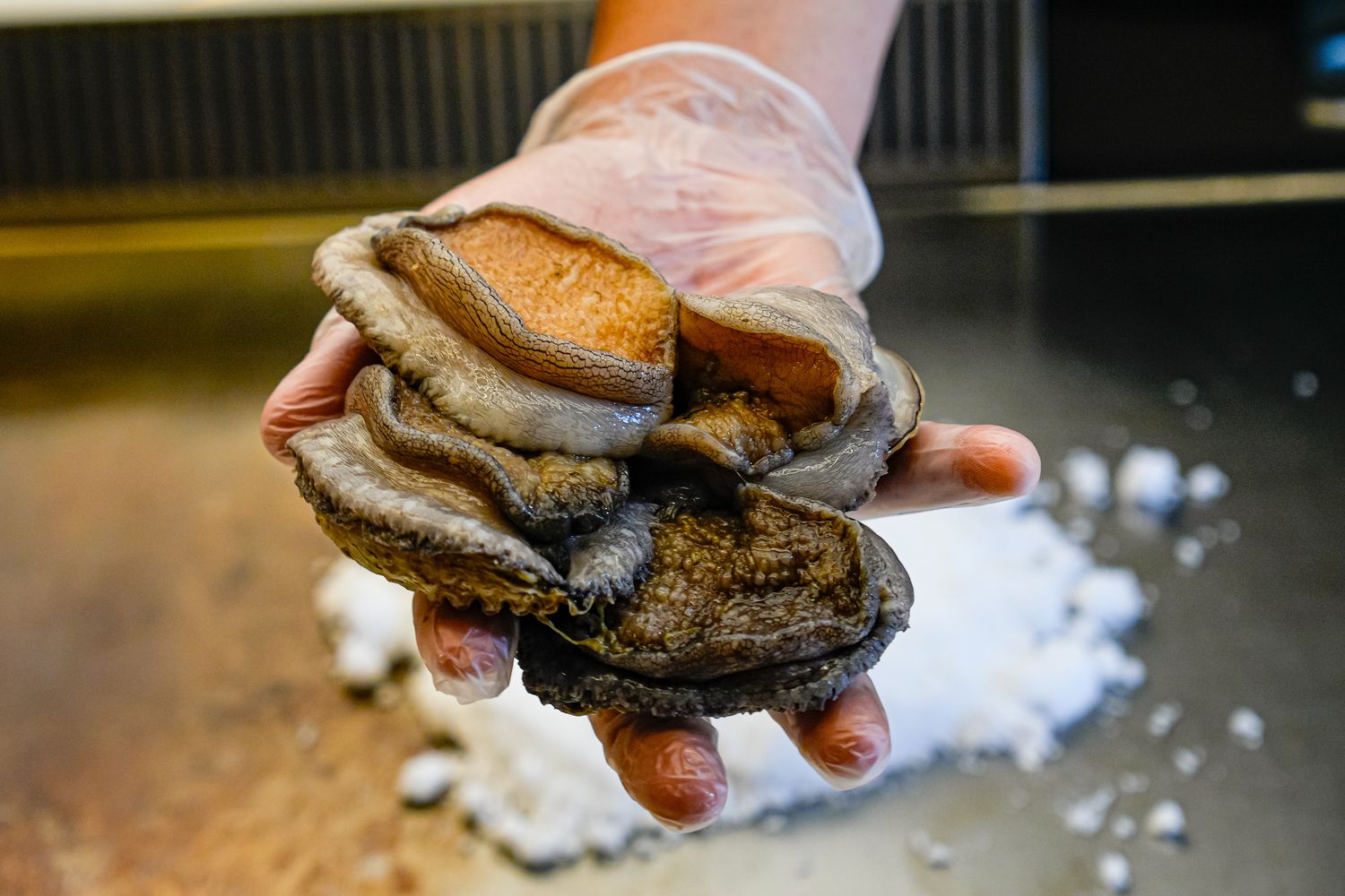 初海和牛鐵板燒｜台北鐵板燒新天花板，$1680 起 14 品奢華饗宴+震撼火焰秀! @混血珊莎的奇幻旅程