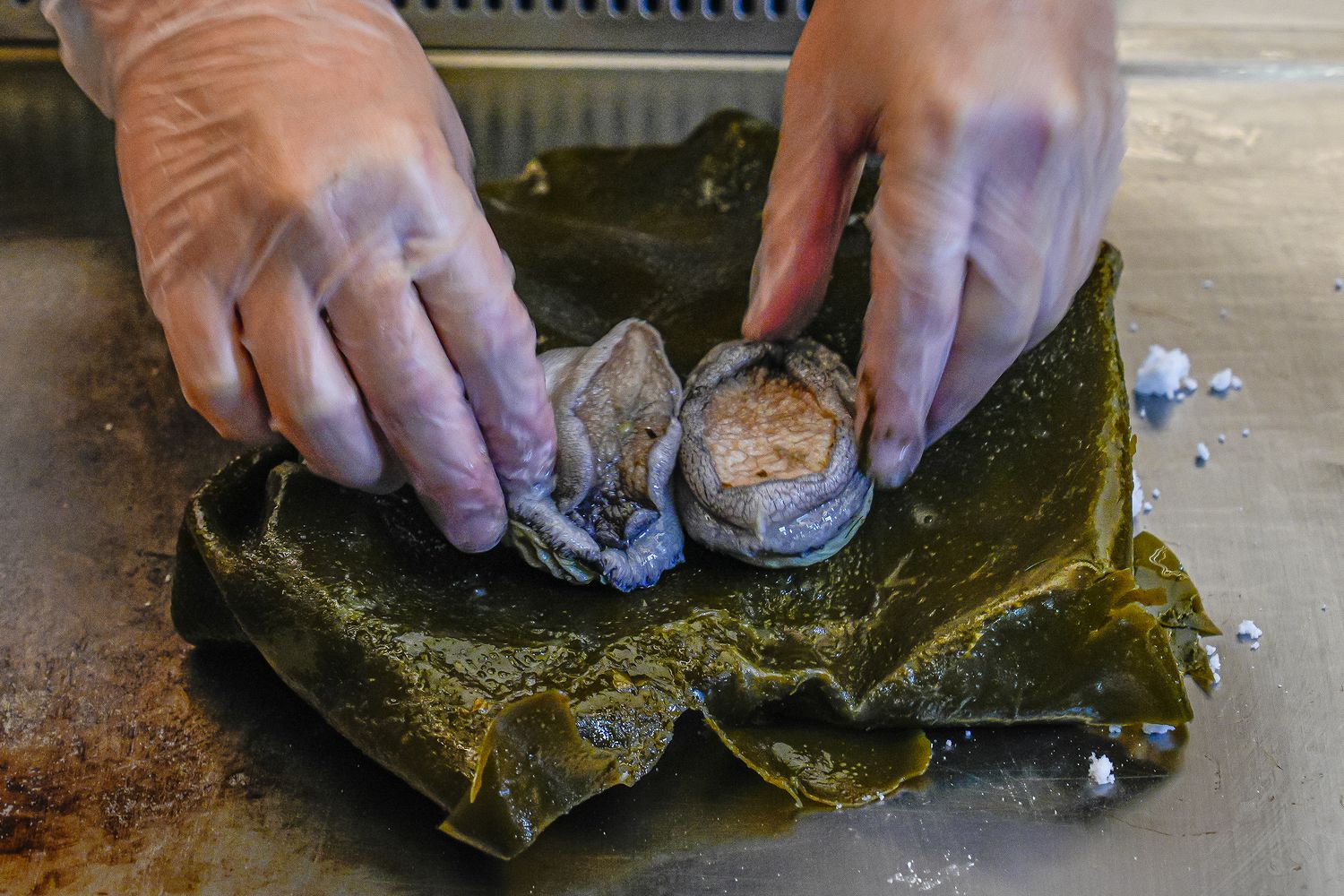 初海和牛鐵板燒｜台北鐵板燒新天花板，$1680 起 14 品奢華饗宴+震撼火焰秀! @混血珊莎的奇幻旅程