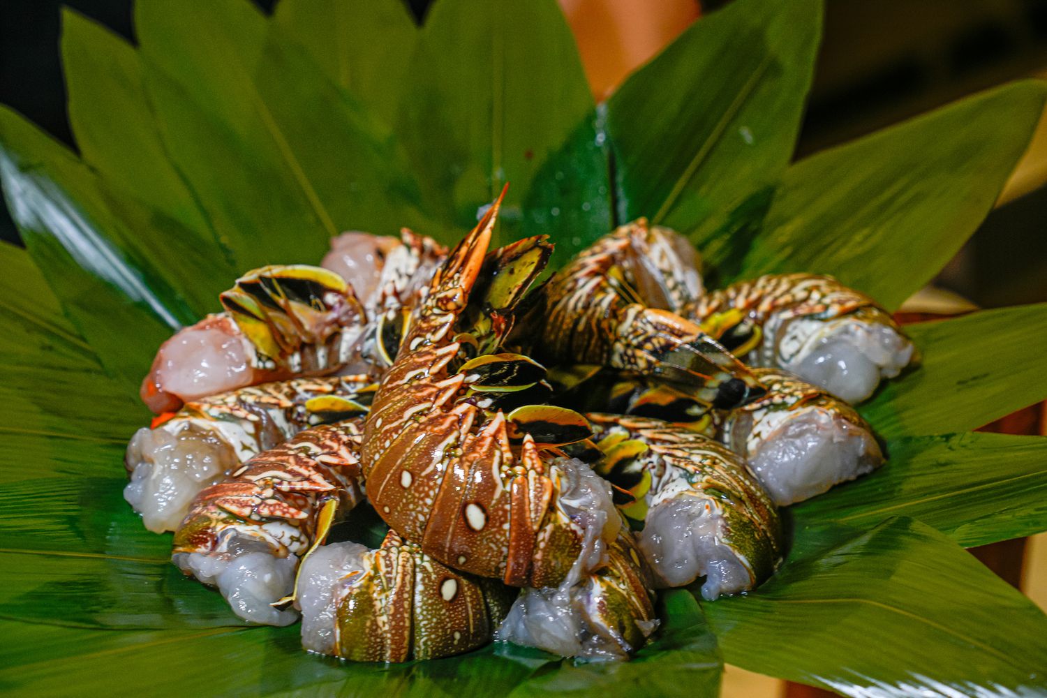 初海和牛鐵板燒｜台北鐵板燒新天花板，$1680 起 14 品奢華饗宴+震撼火焰秀! @混血珊莎的奇幻旅程