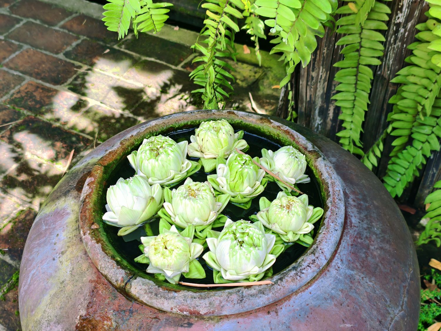 清邁 Fah Lanna Spa 按摩｜古城分店環境、價格、預約方式一次分享! @混血珊莎的奇幻旅程