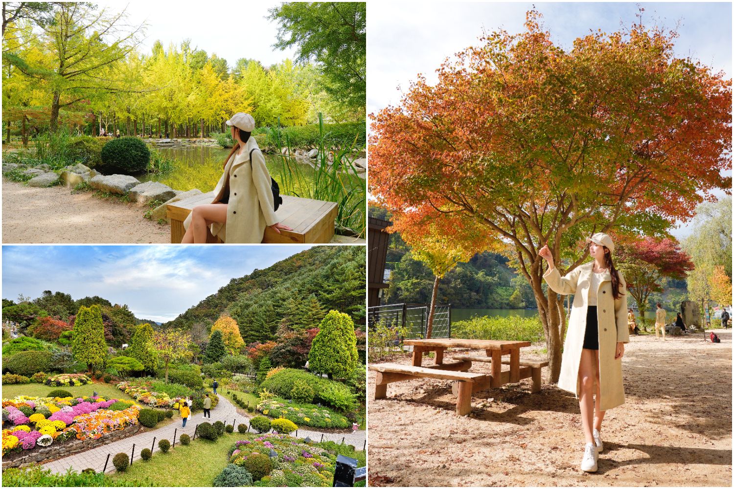 韓國首爾近郊一日遊｜南怡島、小法國村、鐵路自行車、晨靜樹木園、賞楓景點! @混血珊莎的奇幻旅程