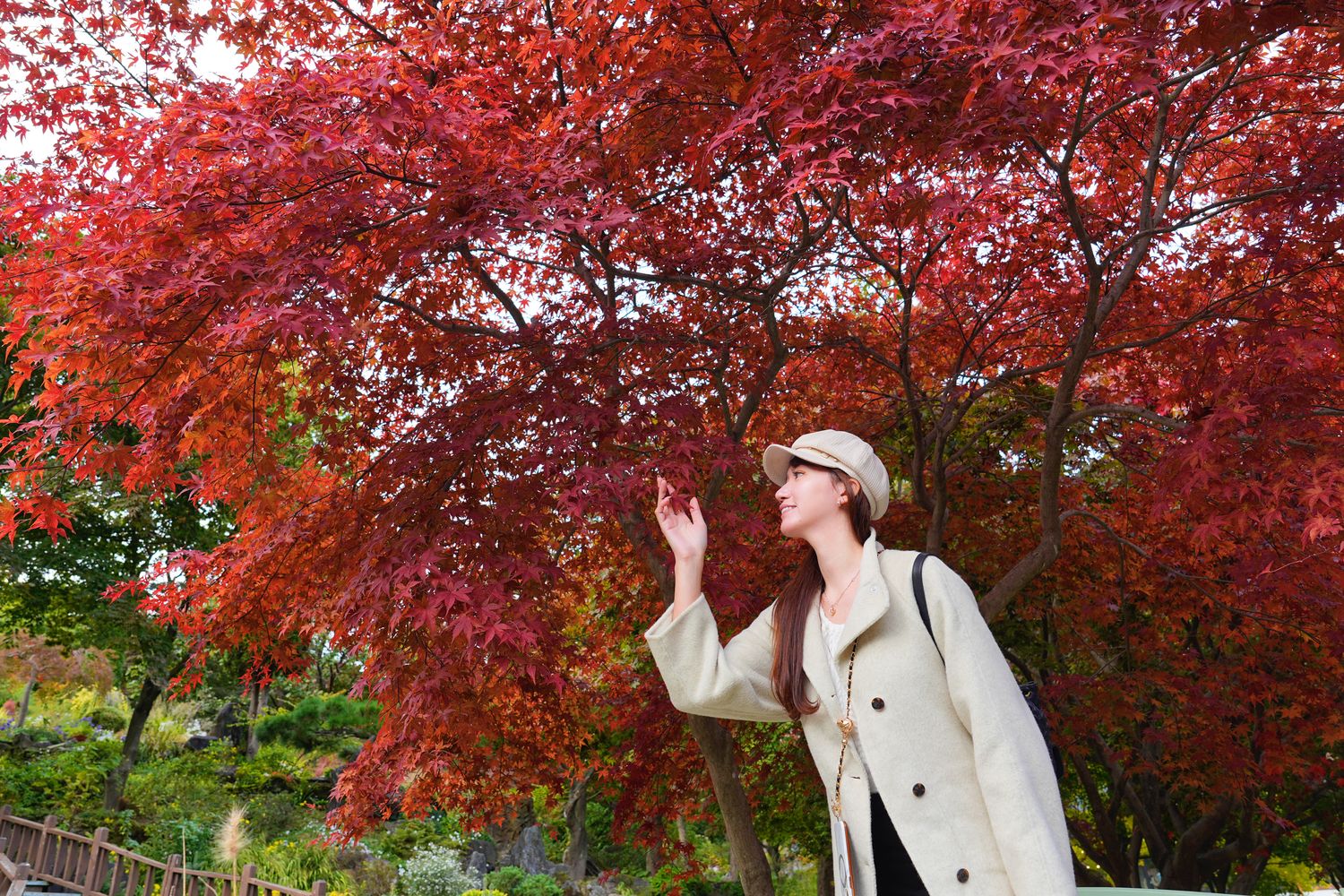 韓國首爾近郊一日遊｜南怡島、小法國村、鐵路自行車、晨靜樹木園、賞楓景點! @混血珊莎的奇幻旅程