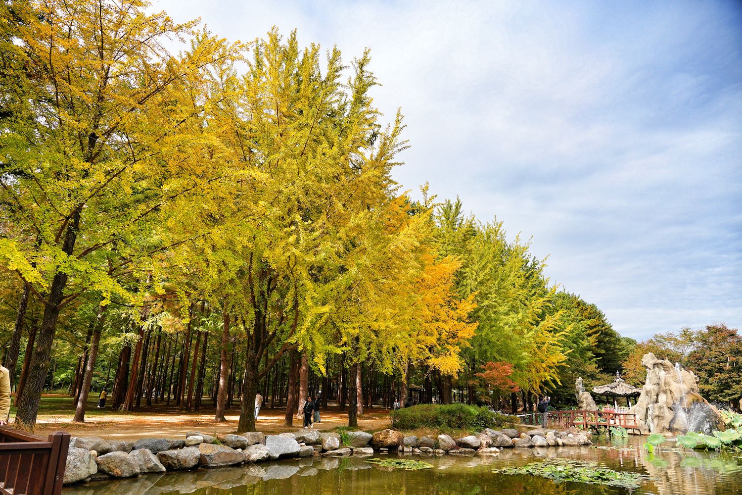 韓國首爾近郊一日遊｜南怡島、小法國村、鐵路自行車、晨靜樹木園、賞楓景點! @混血珊莎的奇幻旅程