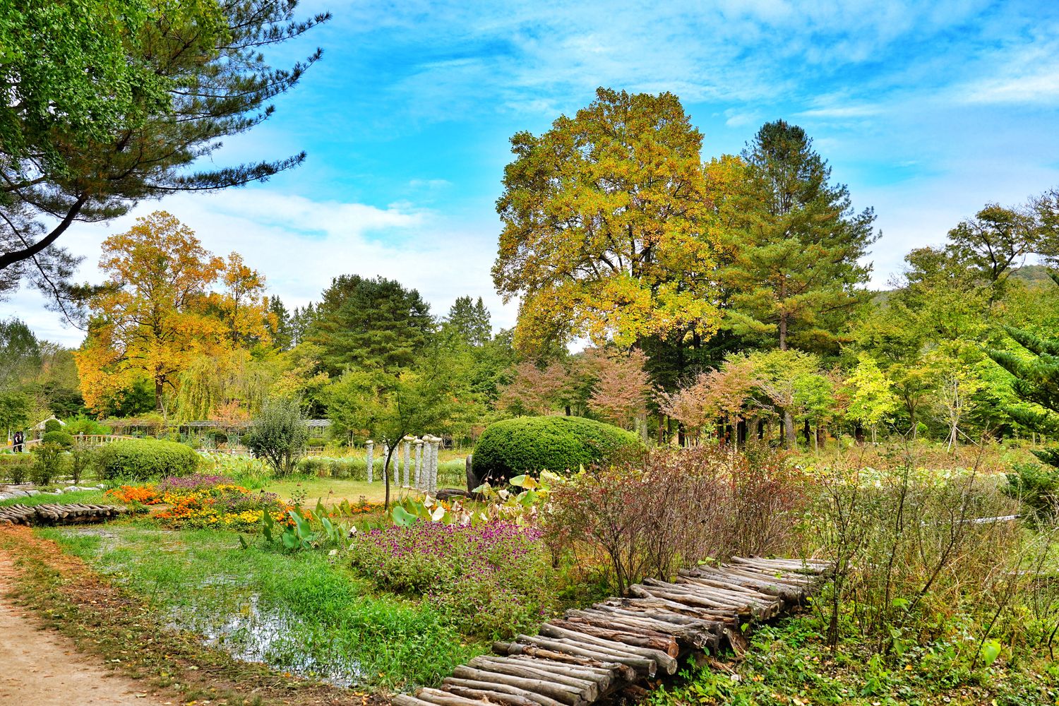 韓國首爾近郊一日遊｜南怡島、小法國村、鐵路自行車、晨靜樹木園、賞楓景點! @混血珊莎的奇幻旅程