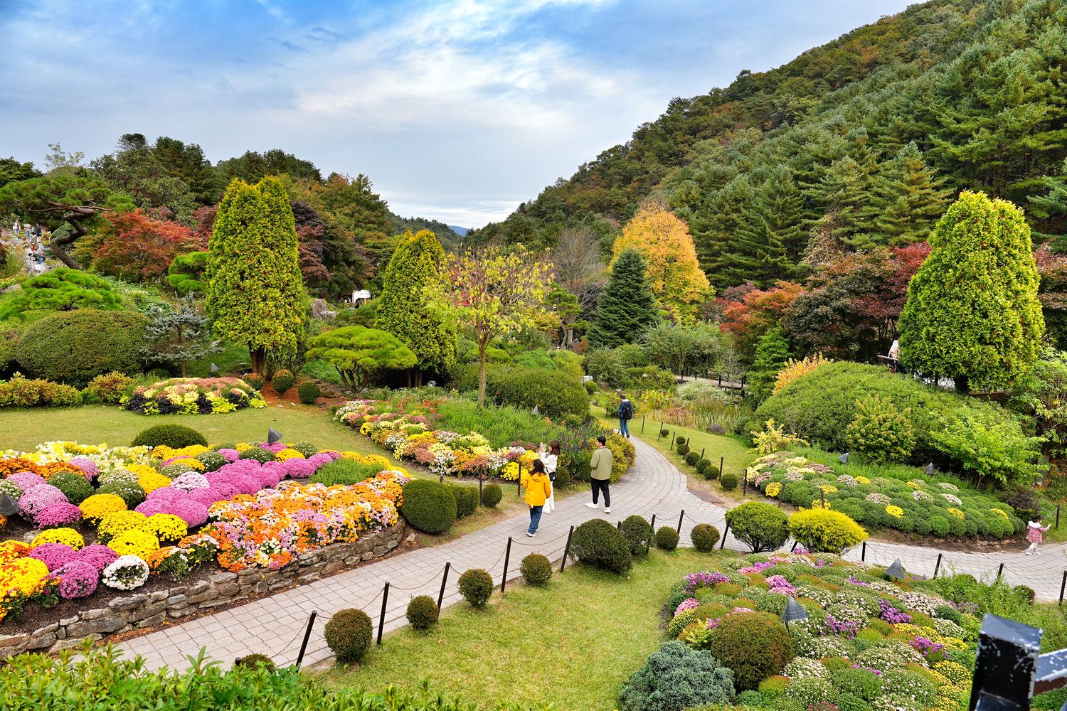 韓國首爾近郊一日遊｜南怡島、小法國村、鐵路自行車、晨靜樹木園、賞楓景點! @混血珊莎的奇幻旅程