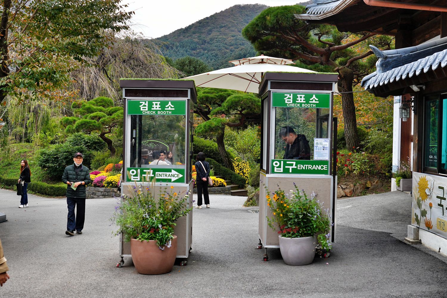 韓國首爾近郊一日遊｜南怡島、小法國村、鐵路自行車、晨靜樹木園、賞楓景點! @混血珊莎的奇幻旅程
