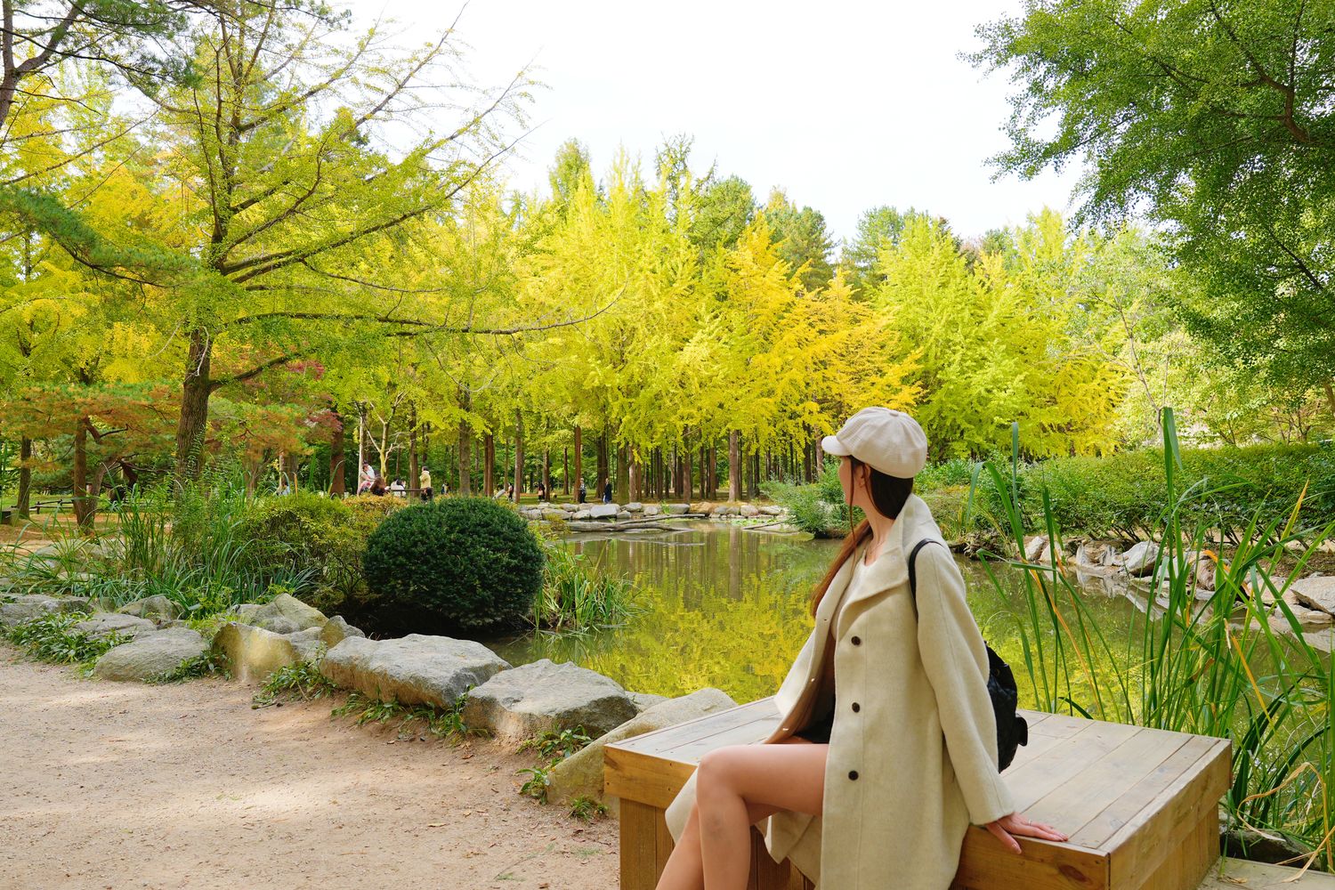 韓國首爾近郊一日遊｜南怡島、小法國村、鐵路自行車、晨靜樹木園、賞楓景點! @混血珊莎的奇幻旅程