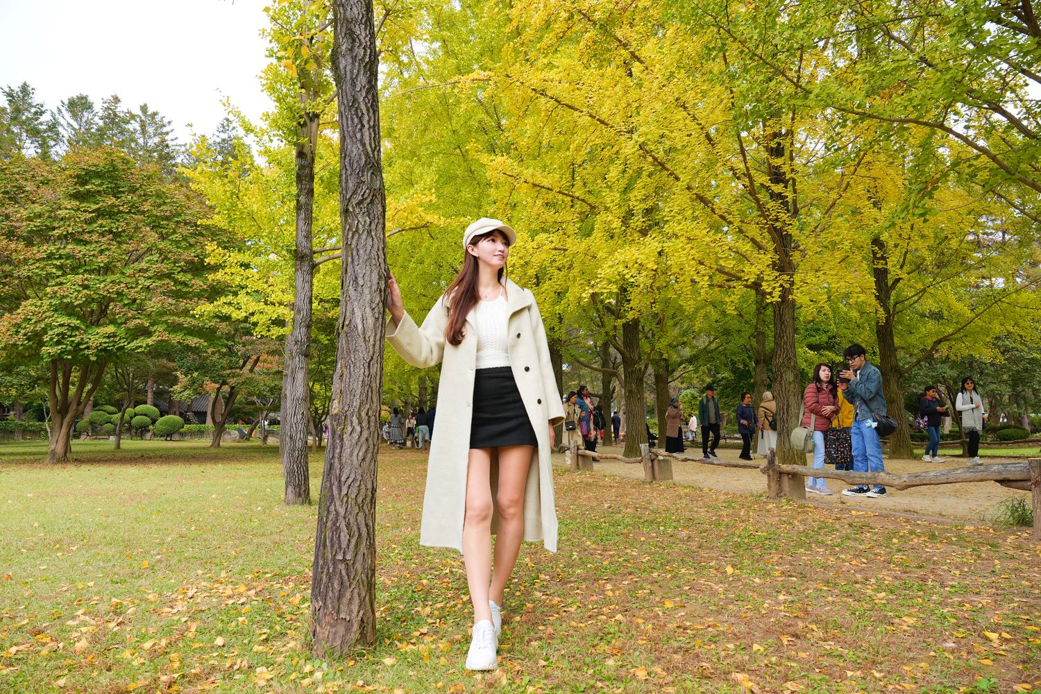 韓國首爾近郊一日遊｜南怡島、小法國村、鐵路自行車、晨靜樹木園、賞楓景點! @混血珊莎的奇幻旅程