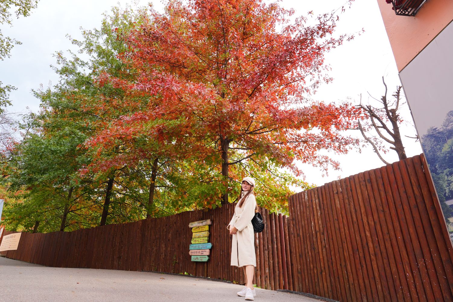 韓國首爾近郊一日遊｜南怡島、小法國村、鐵路自行車、晨靜樹木園、賞楓景點! @混血珊莎的奇幻旅程