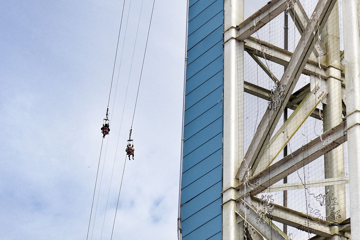 韓國首爾近郊一日遊｜南怡島、小法國村、鐵路自行車、晨靜樹木園、賞楓景點! @混血珊莎的奇幻旅程