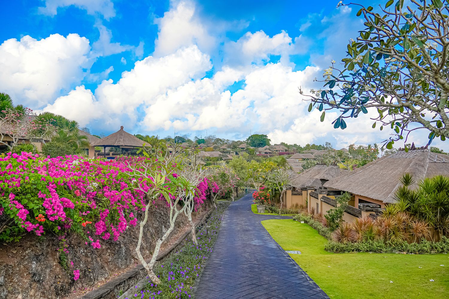 【2026峇里島住宿推薦】AYANA Resort Bali 開箱全攻略:RIMBA海景房、Rock Bar 岩石酒吧、餐廳泳池博物館一次看! @混血珊莎的奇幻旅程 【2026峇里島住宿推薦】AYANA Resort Bali 開箱全攻略:RIMBA海景房、Rock Bar 岩石酒吧、餐廳泳池博物館一次看! @混血珊莎的奇幻旅程