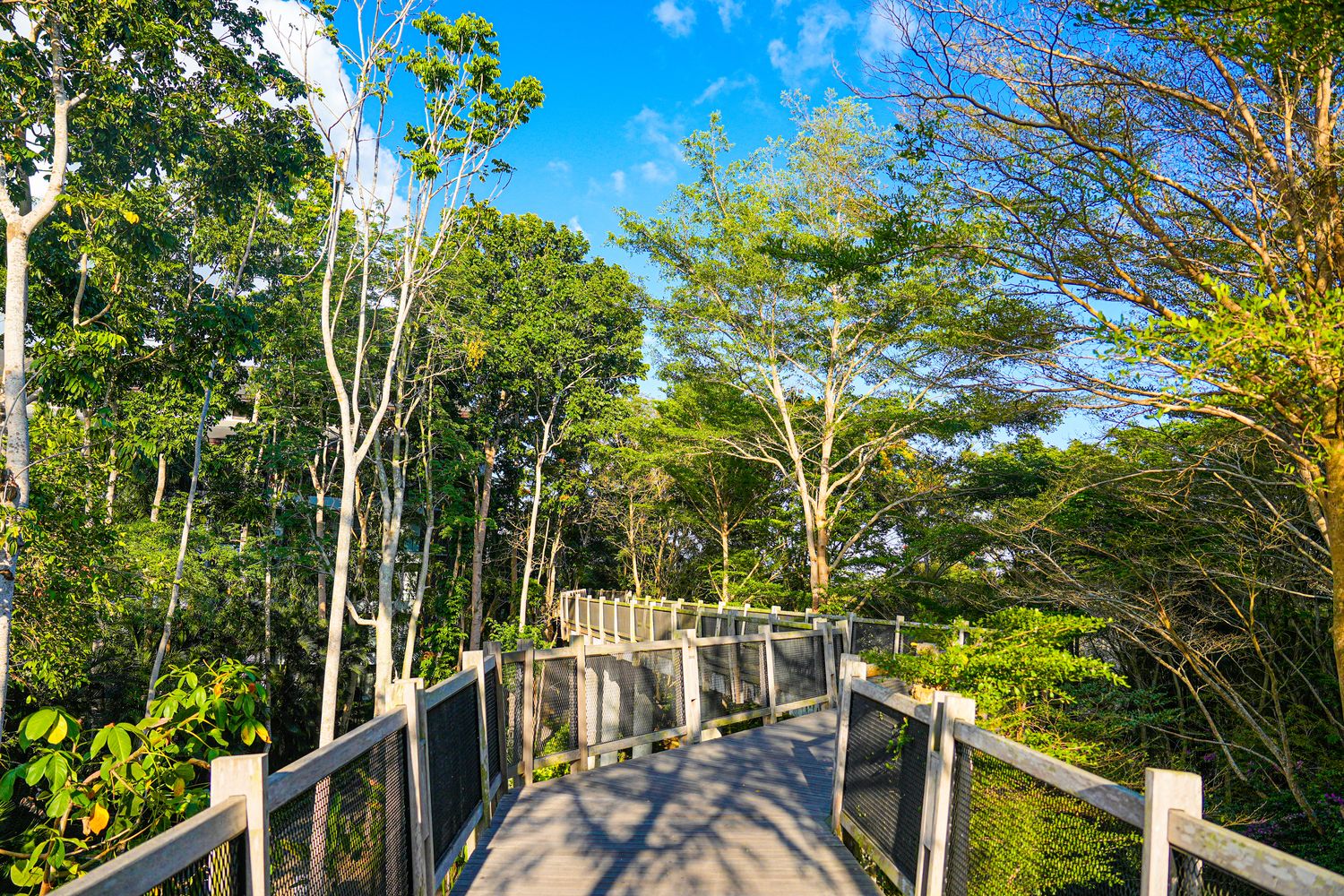 【2026峇里島住宿推薦】AYANA Resort Bali 開箱全攻略:RIMBA海景房、Rock Bar 岩石酒吧、餐廳泳池博物館一次看! @混血珊莎的奇幻旅程 【2026峇里島住宿推薦】AYANA Resort Bali 開箱全攻略:RIMBA海景房、Rock Bar 岩石酒吧、餐廳泳池博物館一次看! @混血珊莎的奇幻旅程