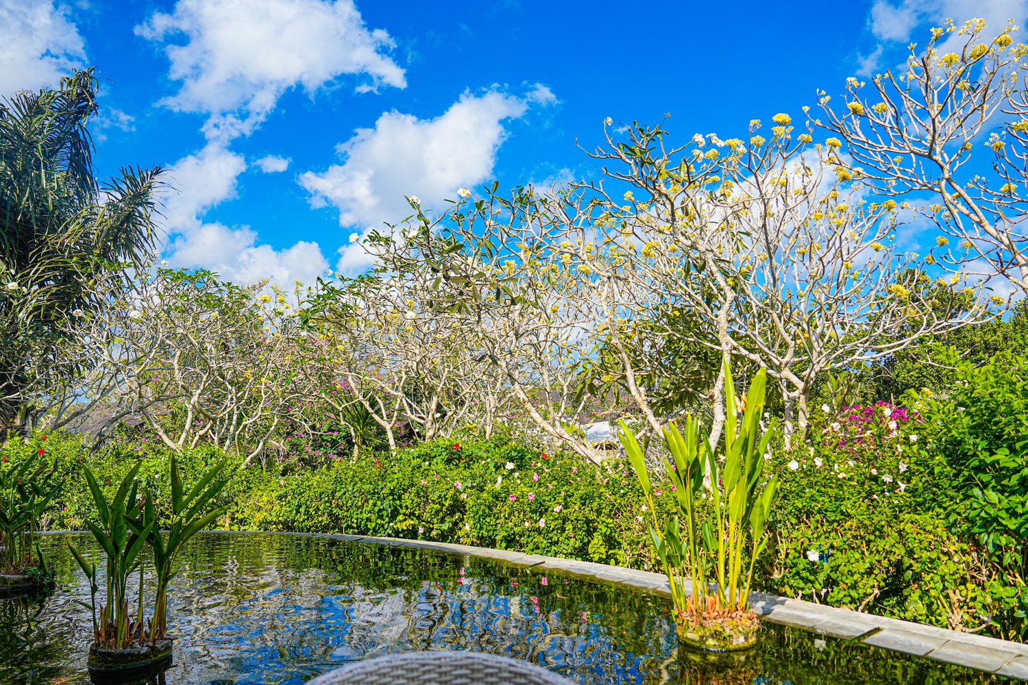 【2026峇里島住宿推薦】AYANA Resort Bali 開箱全攻略:RIMBA海景房、Rock Bar 岩石酒吧、餐廳泳池博物館一次看! @混血珊莎的奇幻旅程 【2026峇里島住宿推薦】AYANA Resort Bali 開箱全攻略:RIMBA海景房、Rock Bar 岩石酒吧、餐廳泳池博物館一次看! @混血珊莎的奇幻旅程