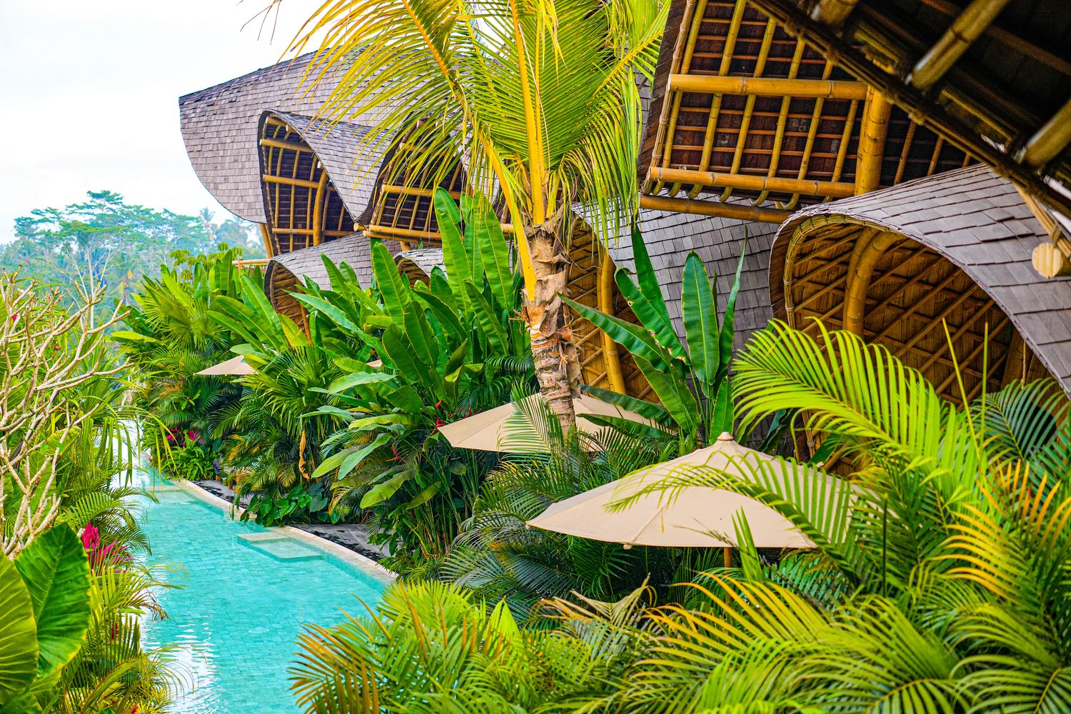 【峇里島住宿推薦】烏布 Bambootel Sawah View : 夢幻竹建築Pool Villa,開門就是綠色梯田! @混血珊莎的奇幻旅程 【峇里島住宿推薦】烏布 Bambootel Sawah View : 夢幻竹建築Pool Villa,開門就是綠色梯田! @混血珊莎的奇幻旅程