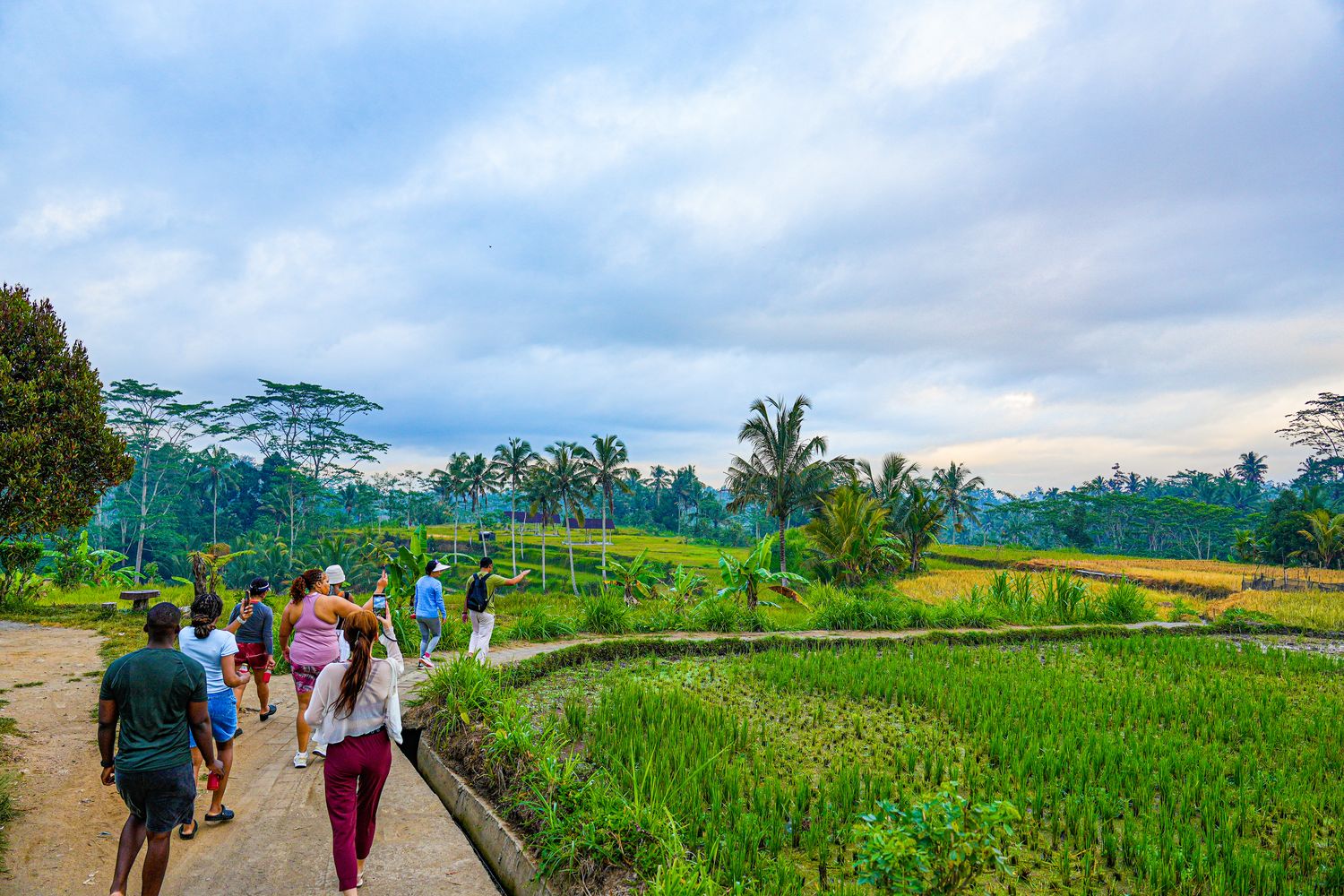 【峇里島住宿推薦】烏布 Bambootel Sawah View : 夢幻竹建築Pool Villa，開門就是綠色梯田! @混血珊莎的奇幻旅程