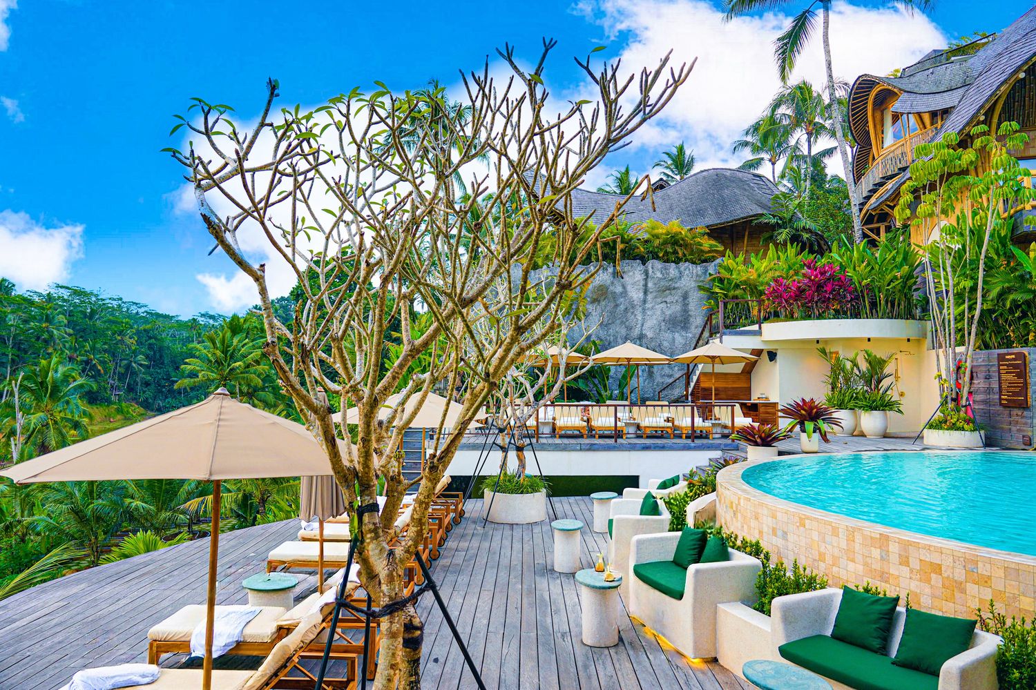 【峇里島住宿推薦】烏布 Bambootel Sawah View : 夢幻竹建築Pool Villa,開門就是綠色梯田! @混血珊莎的奇幻旅程 【峇里島住宿推薦】烏布 Bambootel Sawah View : 夢幻竹建築Pool Villa,開門就是綠色梯田! @混血珊莎的奇幻旅程