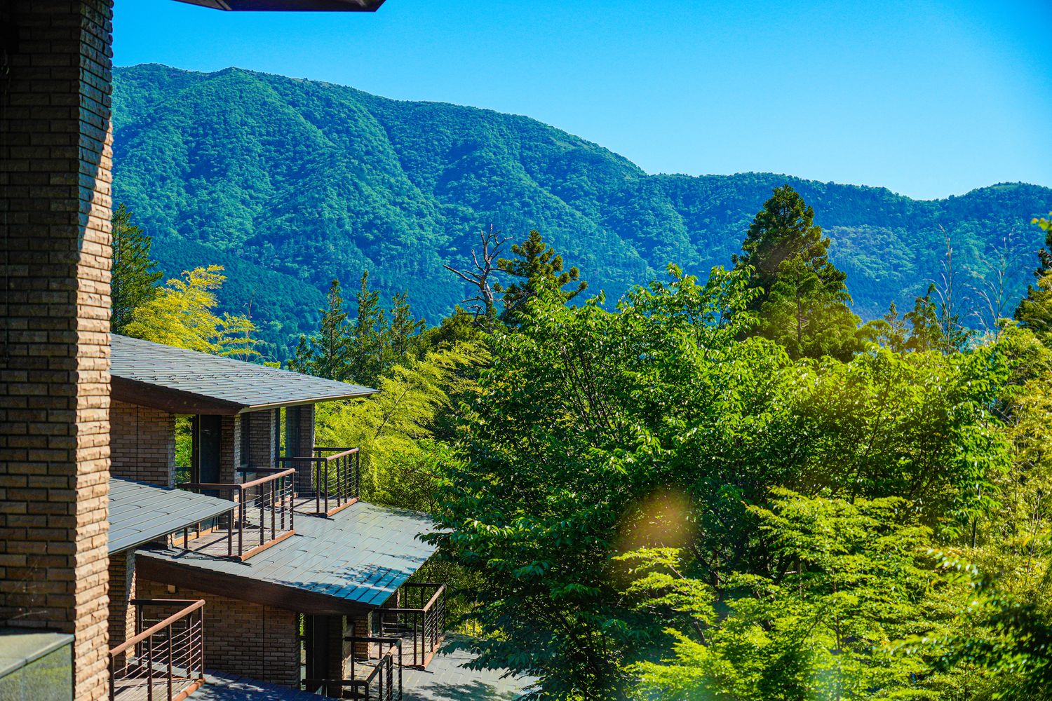 【箱根住宿推薦】箱根凱撒強羅會館：頂級包棟與專屬管家，獨享大湧谷溫泉與麻將KTV! @混血珊莎的奇幻旅程
