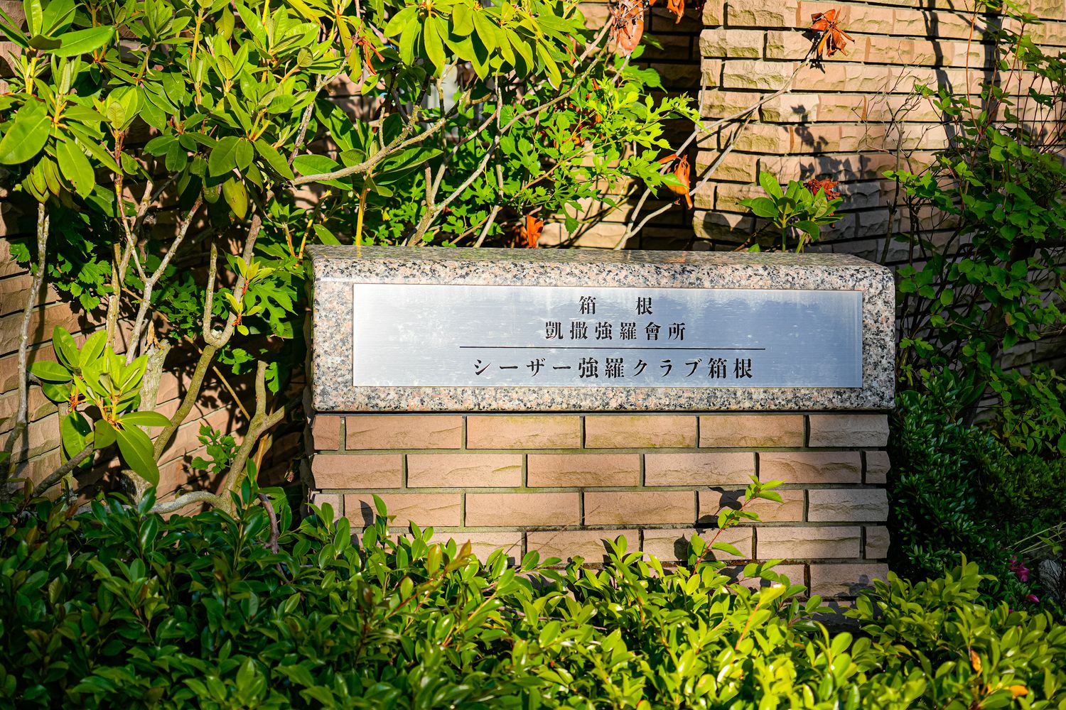 【箱根住宿推薦】箱根凱撒強羅會館：頂級包棟與專屬管家，獨享大湧谷溫泉與麻將KTV! @混血珊莎的奇幻旅程