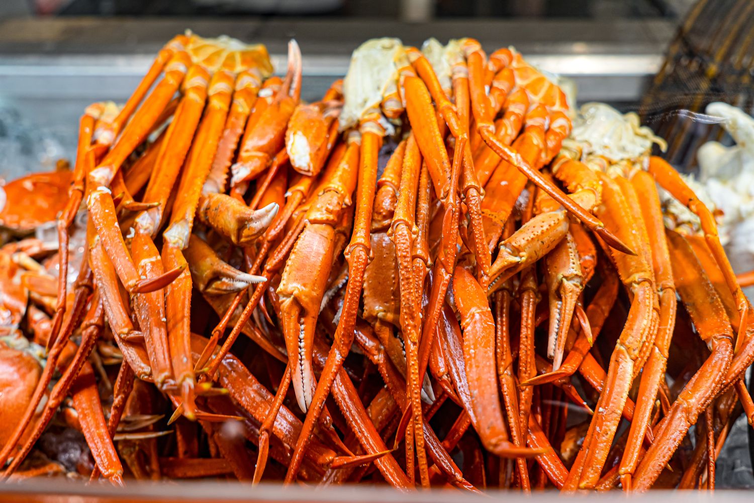 台北吃到飽推薦｜遠東香格里拉自助餐：遠東 CAF&Eacute; 必吃美食、價位與訂位全攻略 @混血珊莎的奇幻旅程