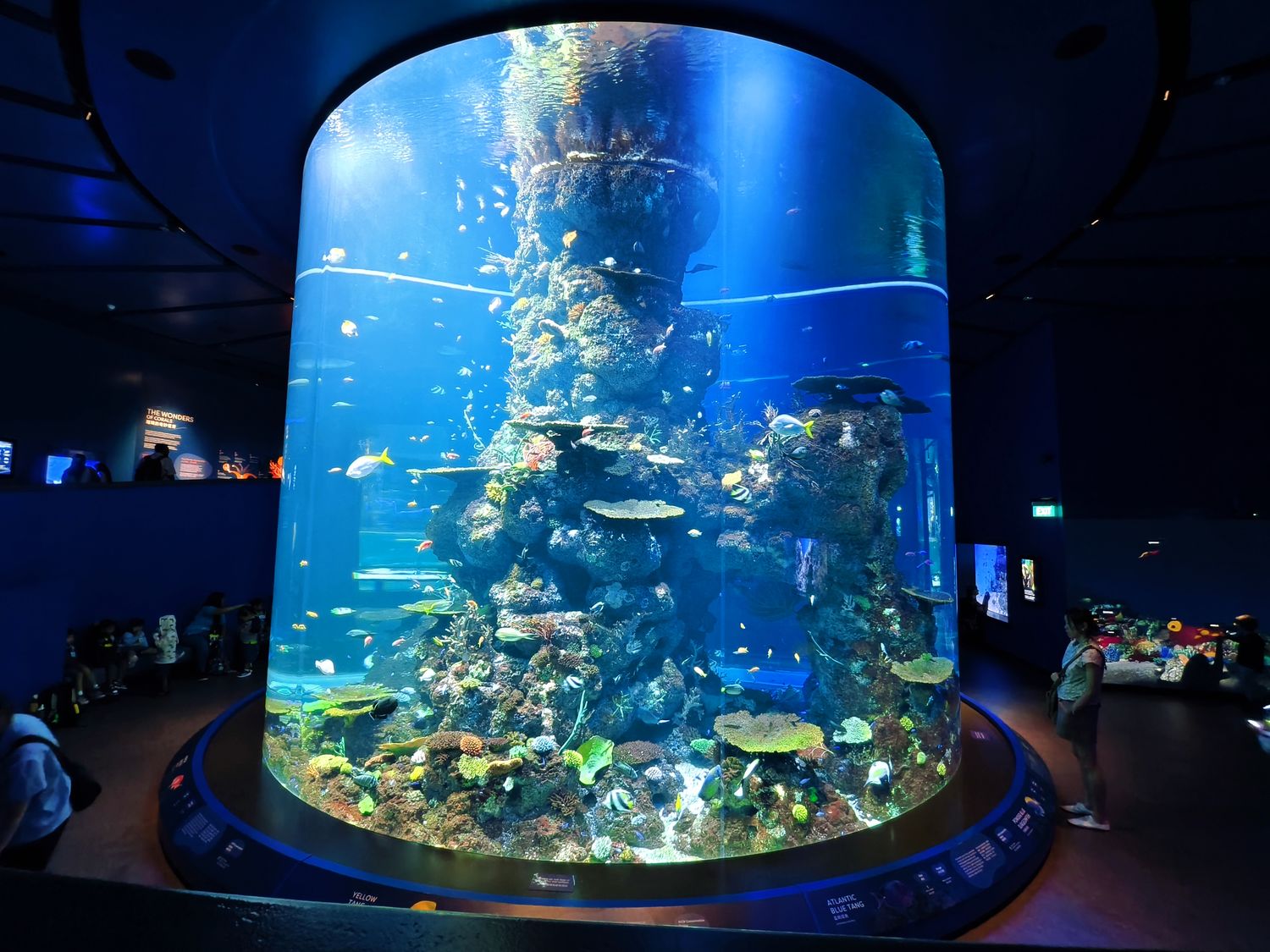 2026 新加坡海洋館 ｜變身新加坡海洋生態館!改裝後值得去嗎? 6大亮點、門票交通懶人包 @混血珊莎的奇幻旅程