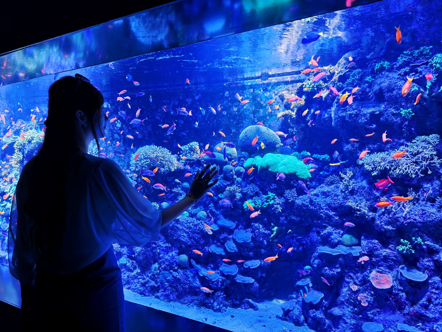 2026 新加坡海洋館 |變身新加坡海洋生態館!改裝後值得去嗎? 6大亮點、門票交通懶人包 @混血珊莎的奇幻旅程 2026 新加坡海洋館 |變身新加坡海洋生態館!改裝後值得去嗎? 6大亮點、門票交通懶人包 @混血珊莎的奇幻旅程