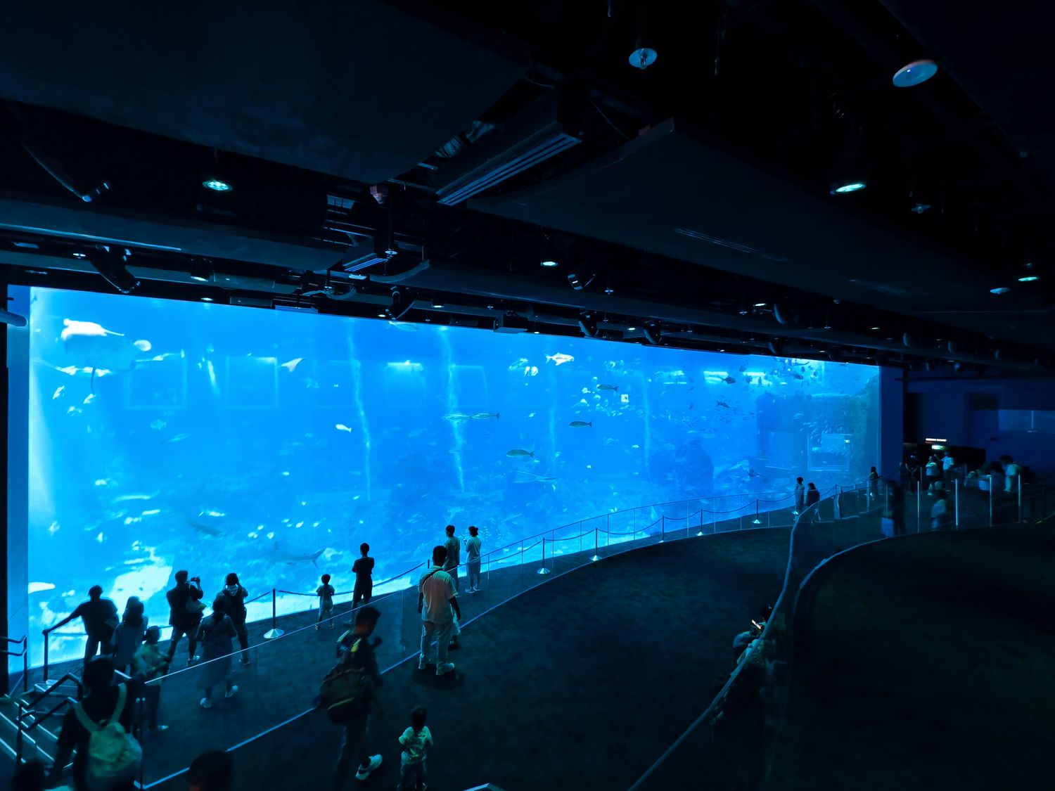 2026 新加坡海洋館 |變身新加坡海洋生態館!改裝後值得去嗎? 6大亮點、門票交通懶人包 @混血珊莎的奇幻旅程 2026 新加坡海洋館 |變身新加坡海洋生態館!改裝後值得去嗎? 6大亮點、門票交通懶人包 @混血珊莎的奇幻旅程