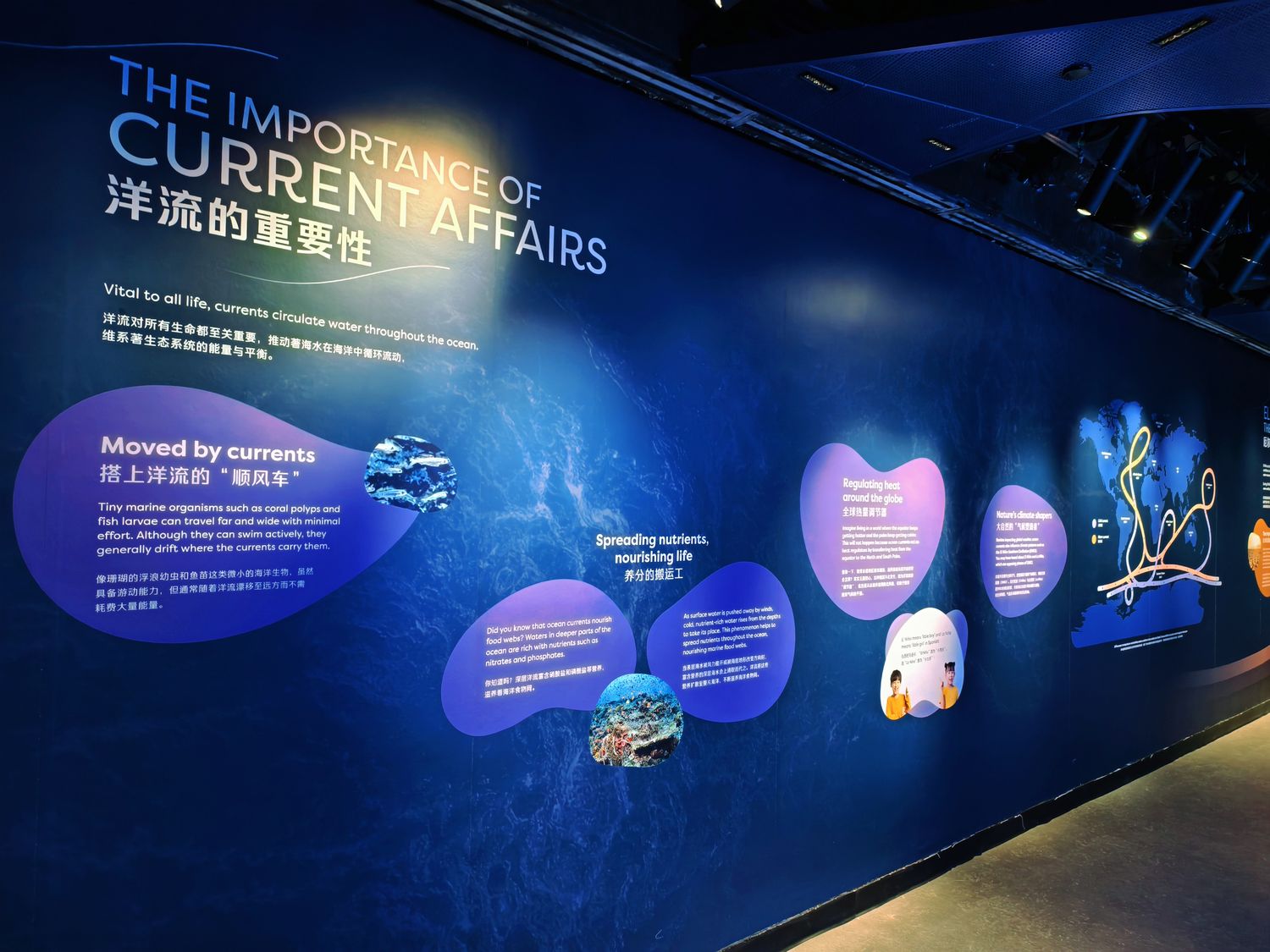 2026 新加坡海洋館 |變身新加坡海洋生態館!改裝後值得去嗎? 6大亮點、門票交通懶人包 @混血珊莎的奇幻旅程 2026 新加坡海洋館 |變身新加坡海洋生態館!改裝後值得去嗎? 6大亮點、門票交通懶人包 @混血珊莎的奇幻旅程