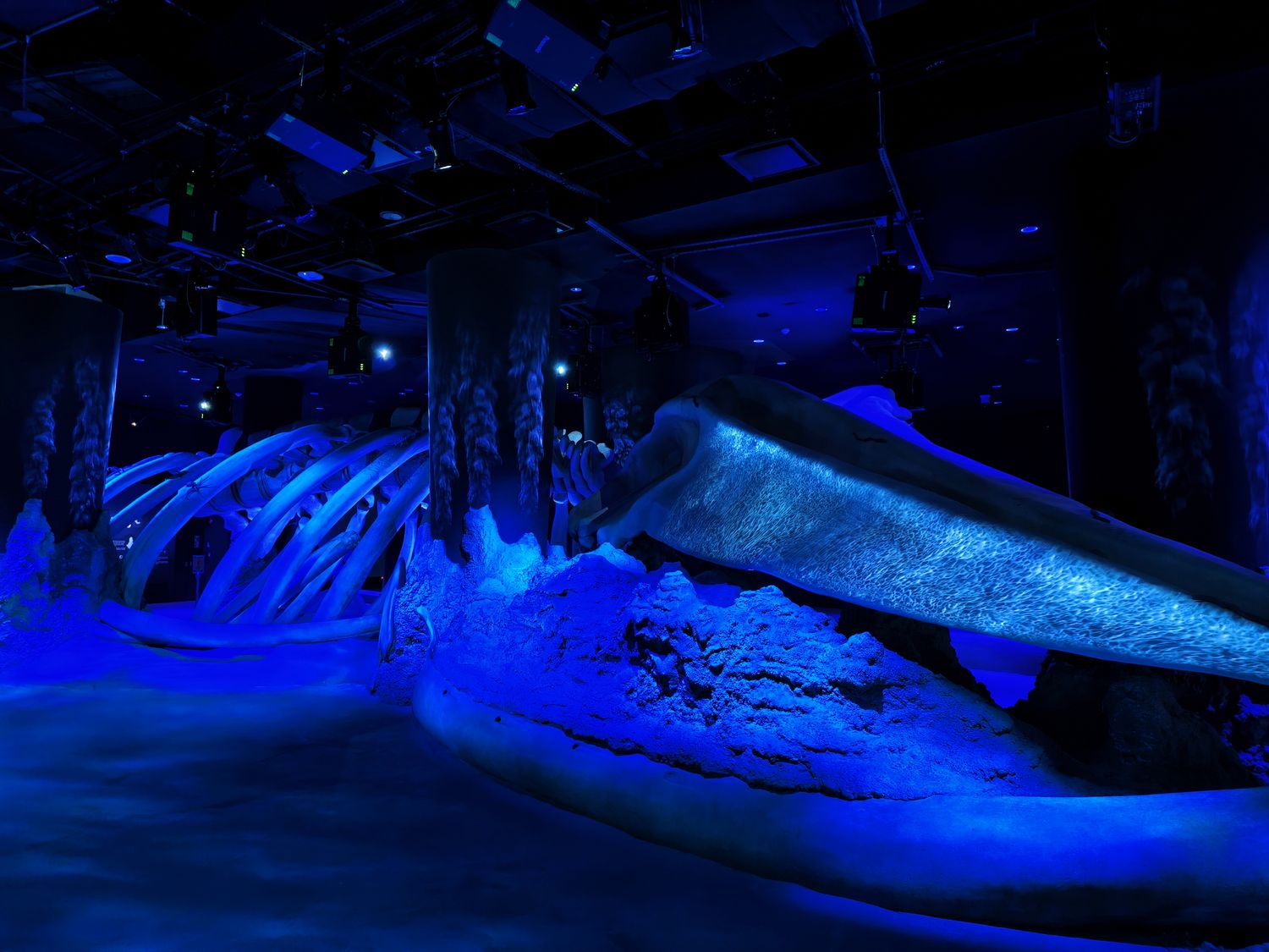 2026 新加坡海洋館 |變身新加坡海洋生態館!改裝後值得去嗎? 6大亮點、門票交通懶人包 @混血珊莎的奇幻旅程 2026 新加坡海洋館 |變身新加坡海洋生態館!改裝後值得去嗎? 6大亮點、門票交通懶人包 @混血珊莎的奇幻旅程