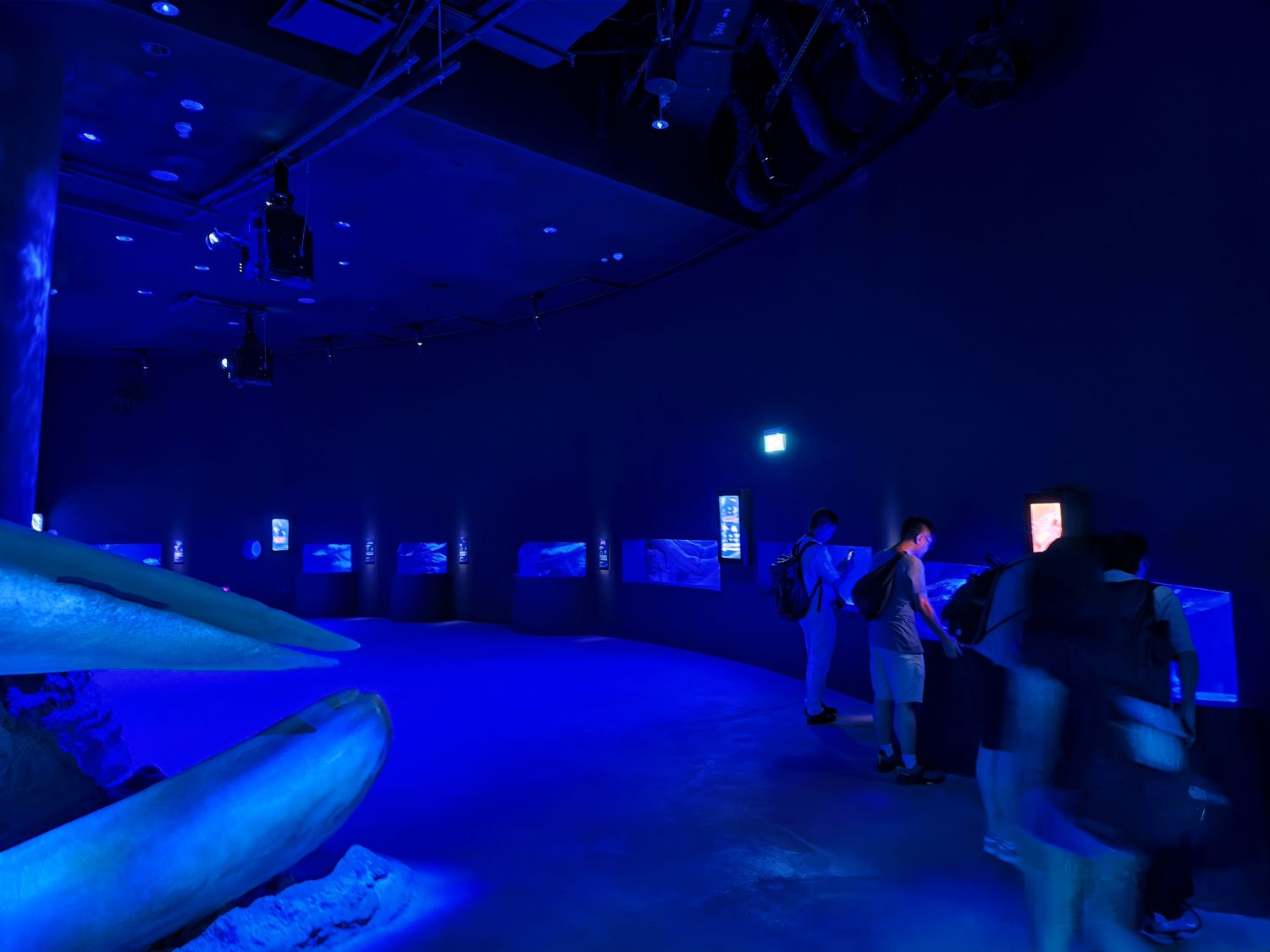 2026 新加坡海洋館 |變身新加坡海洋生態館!改裝後值得去嗎? 6大亮點、門票交通懶人包 @混血珊莎的奇幻旅程 2026 新加坡海洋館 |變身新加坡海洋生態館!改裝後值得去嗎? 6大亮點、門票交通懶人包 @混血珊莎的奇幻旅程