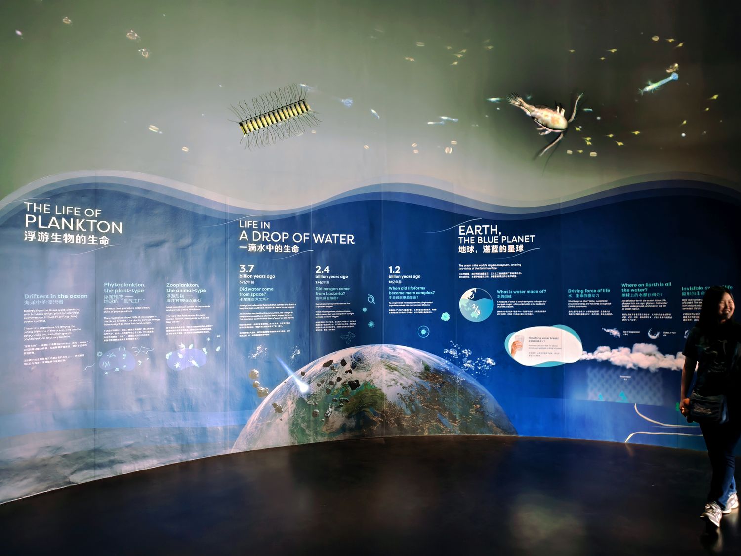 2026 新加坡海洋館 |變身新加坡海洋生態館!改裝後值得去嗎? 6大亮點、門票交通懶人包 @混血珊莎的奇幻旅程 2026 新加坡海洋館 |變身新加坡海洋生態館!改裝後值得去嗎? 6大亮點、門票交通懶人包 @混血珊莎的奇幻旅程