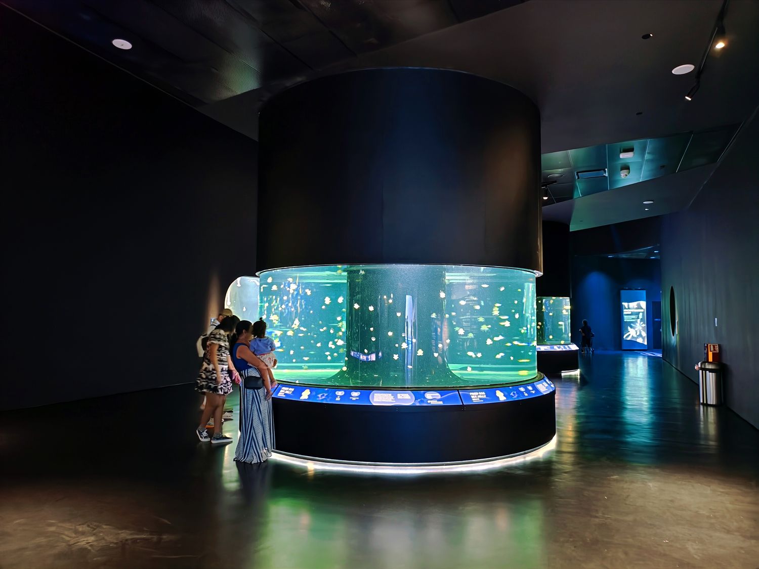 2026 新加坡海洋館 |變身新加坡海洋生態館!改裝後值得去嗎? 6大亮點、門票交通懶人包 @混血珊莎的奇幻旅程 2026 新加坡海洋館 |變身新加坡海洋生態館!改裝後值得去嗎? 6大亮點、門票交通懶人包 @混血珊莎的奇幻旅程